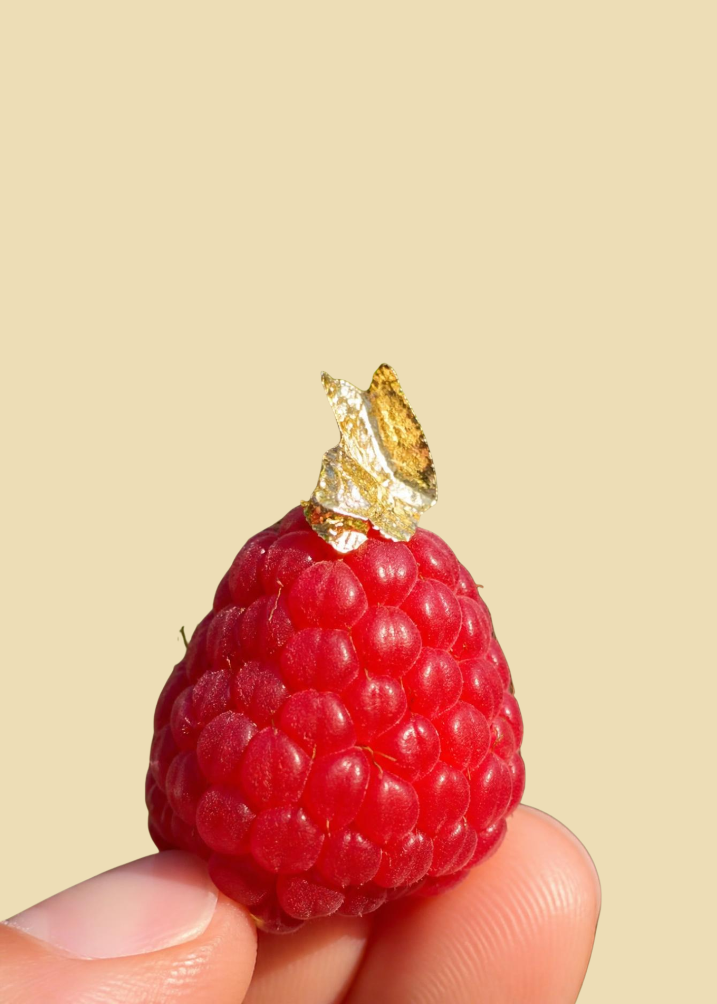 Untitled+design+%2810%29.png