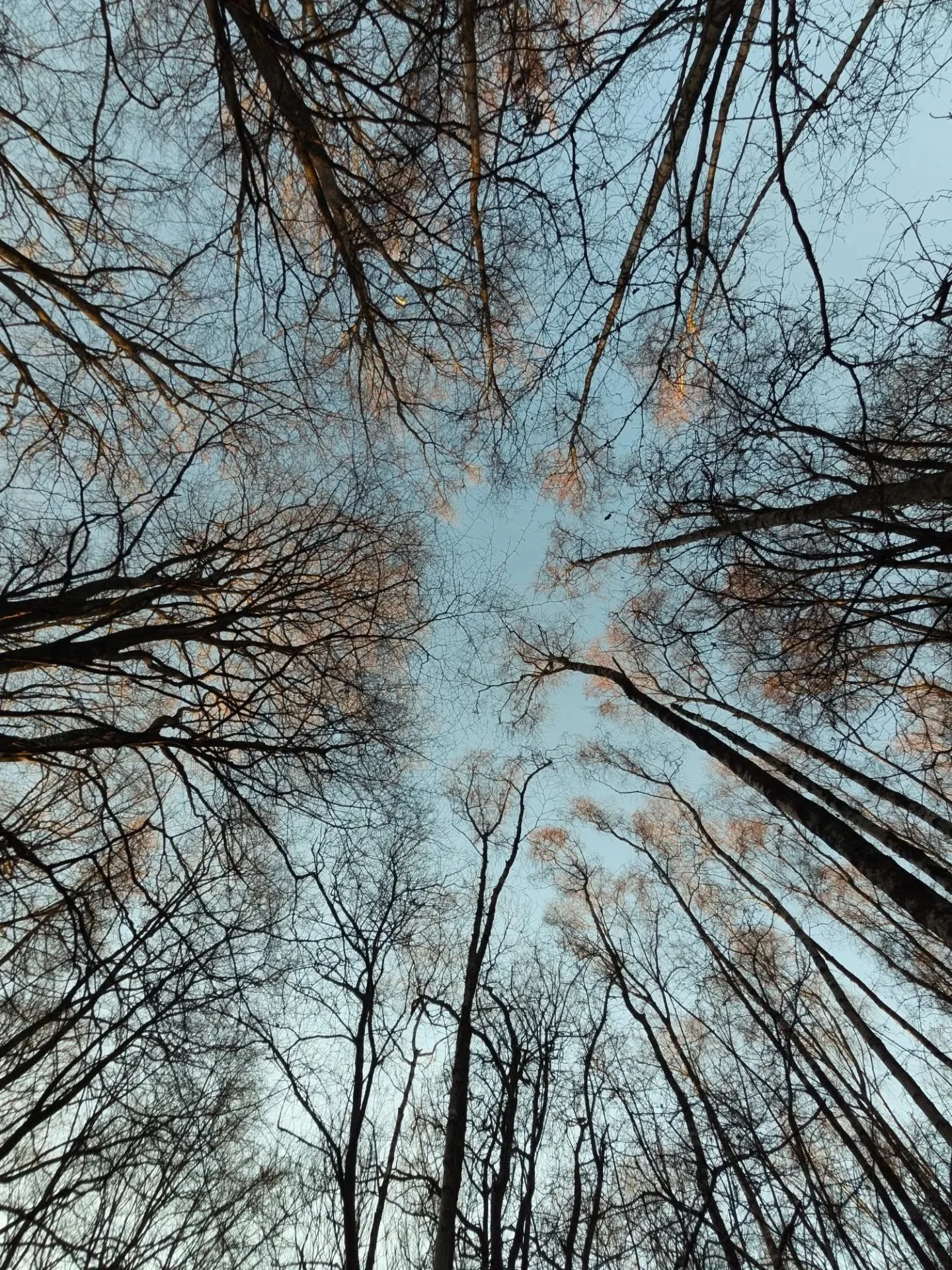 17842846473670840.jpg