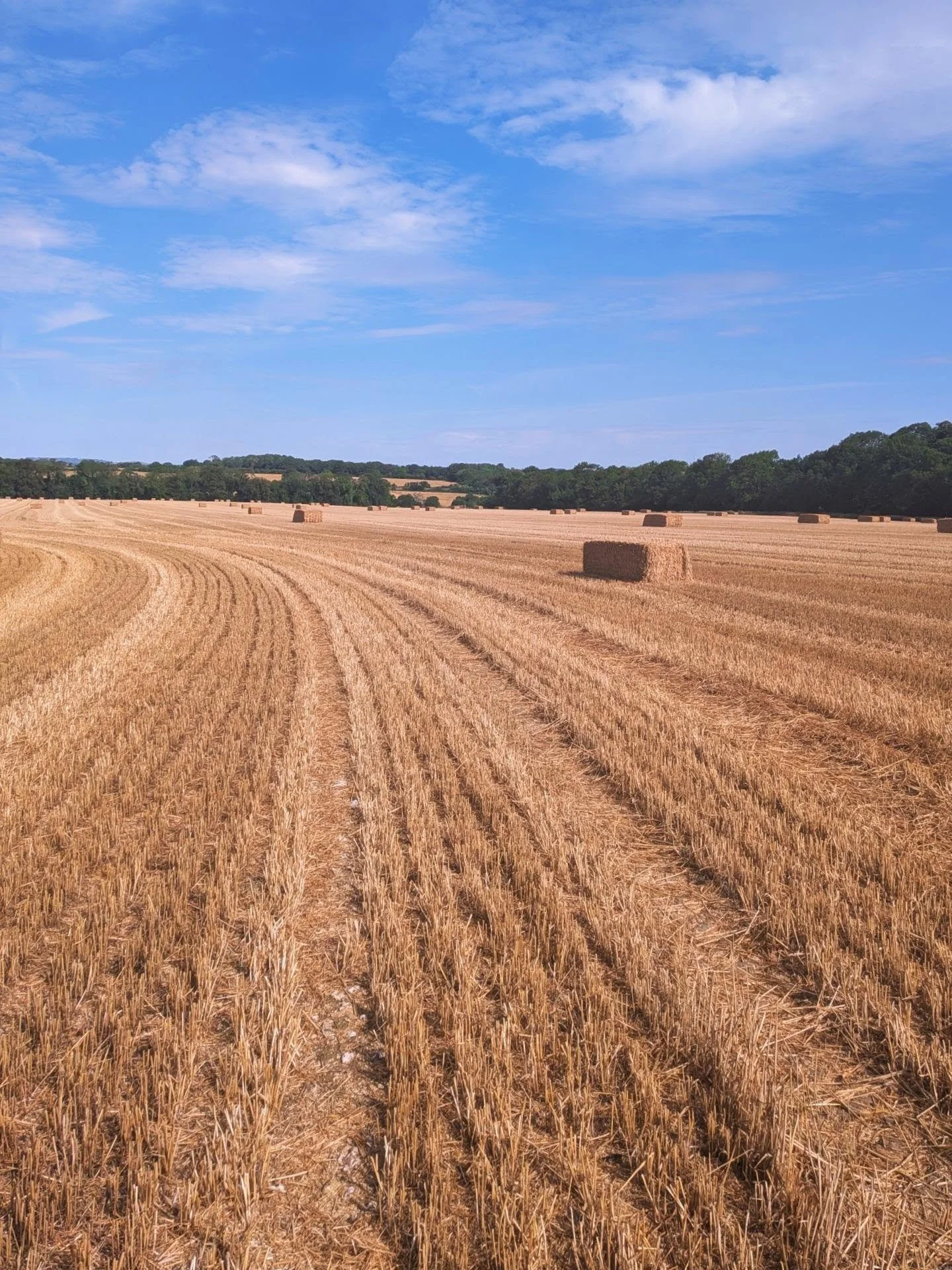 Combine harvesters, hay bales and stubble fields normally mark the start of early autumn - I'm not ready for these views! Give me more summer first 🌞