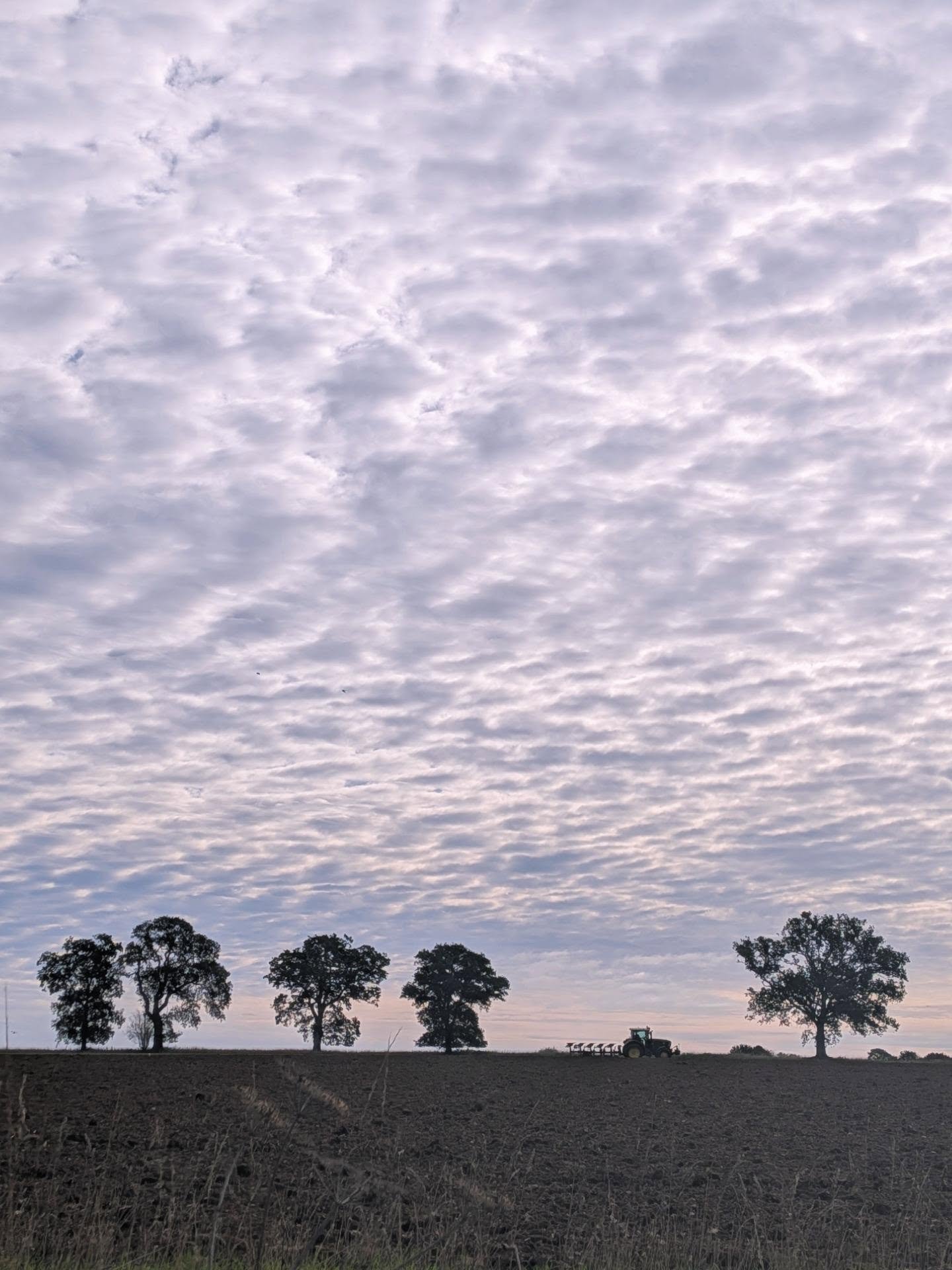 A fish scale sky over the fields today 🐟

#ukcountryside #ruralphotography #countryside