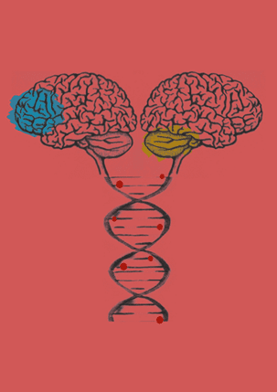 Genome biology.png