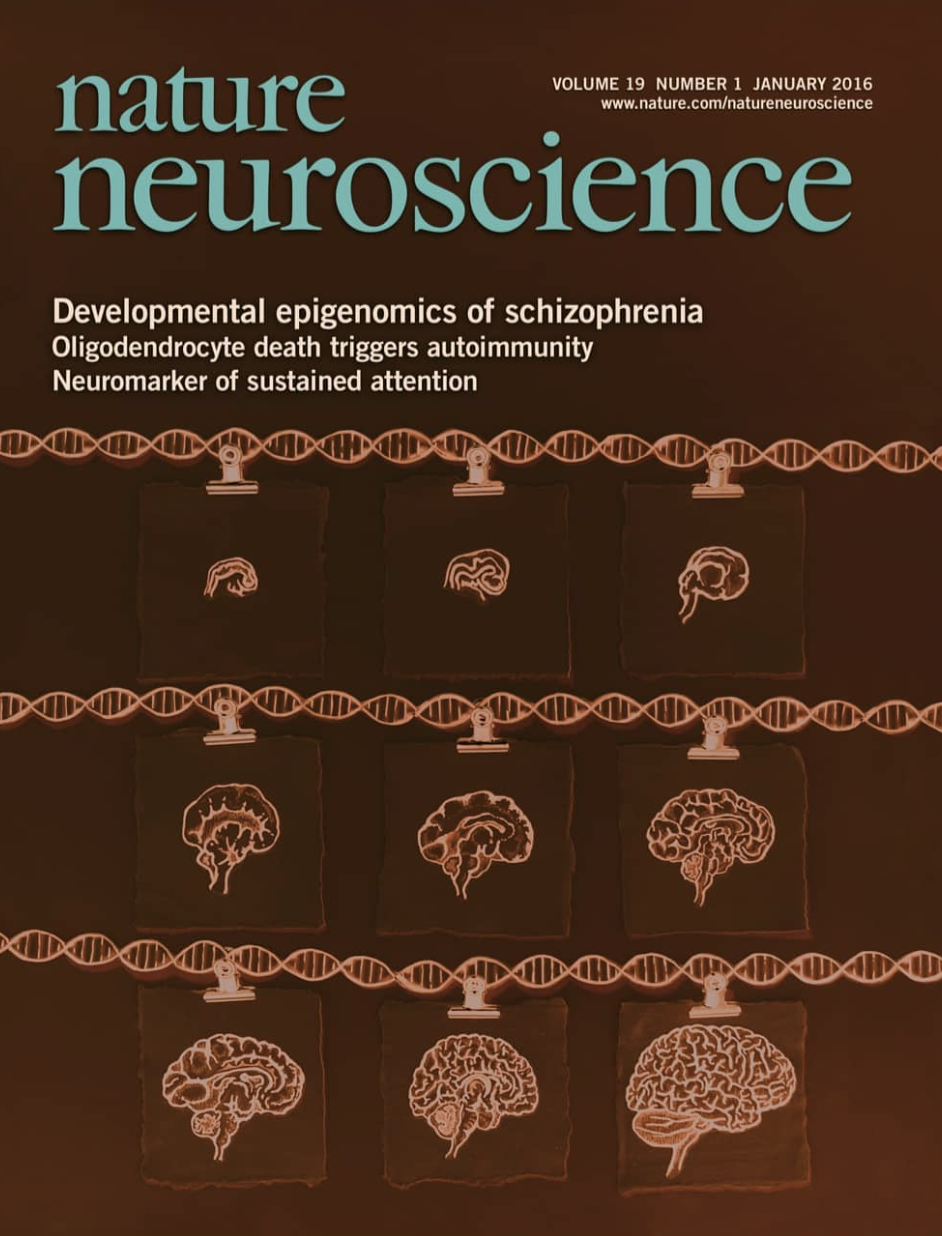 Nature Neuroscience 2016.png