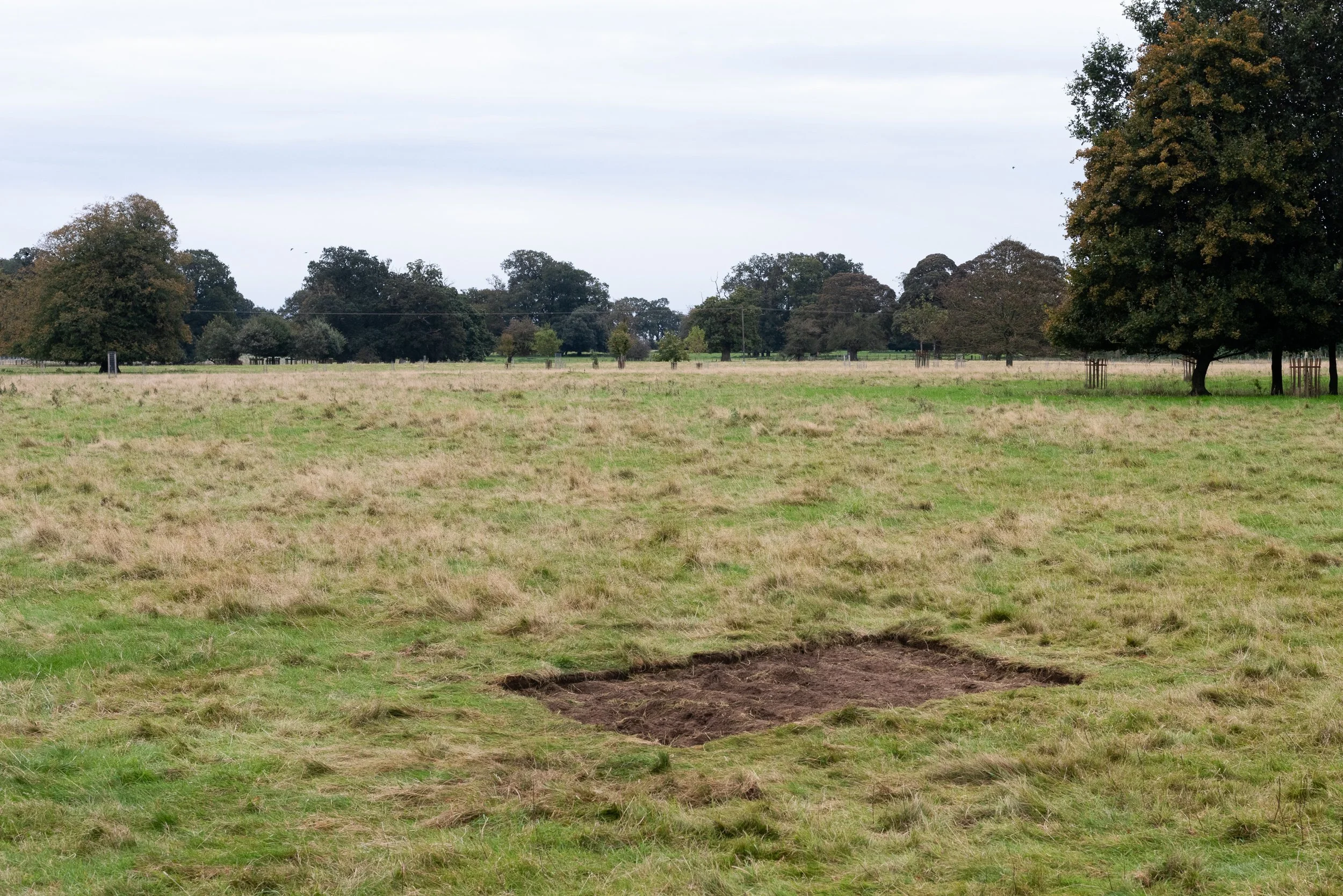   Intervention II,  High House, Norfolk, 2024. 