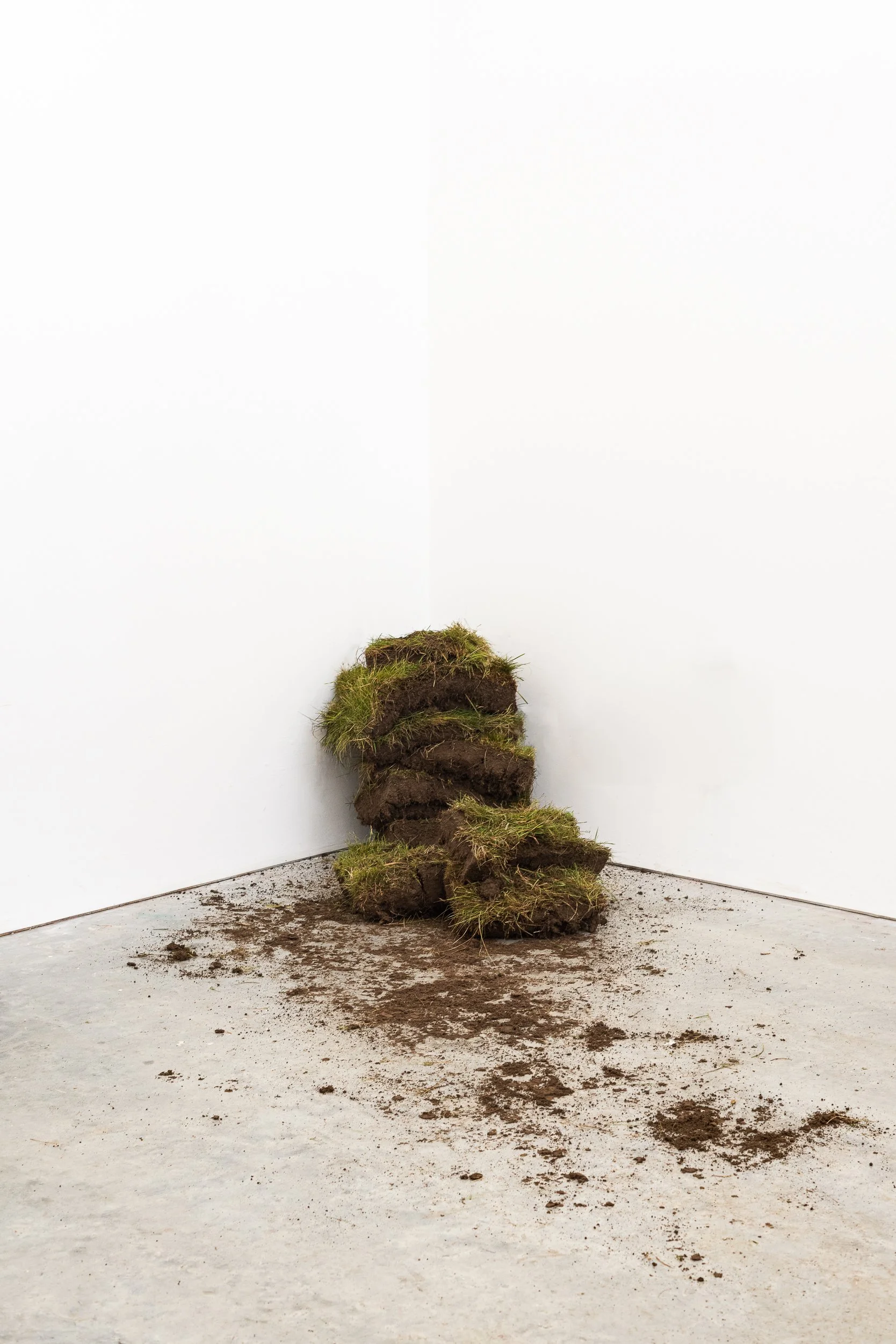   Intervention III,  High House, Norfolk, 2024. 