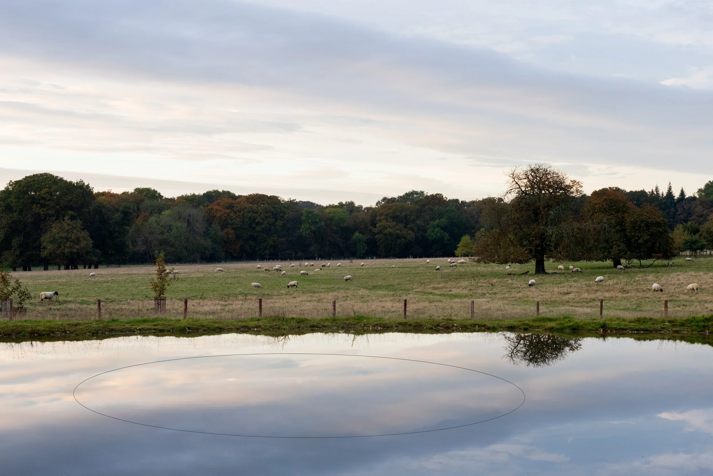   Intervention I,  High House, Norfolk, 2024. 