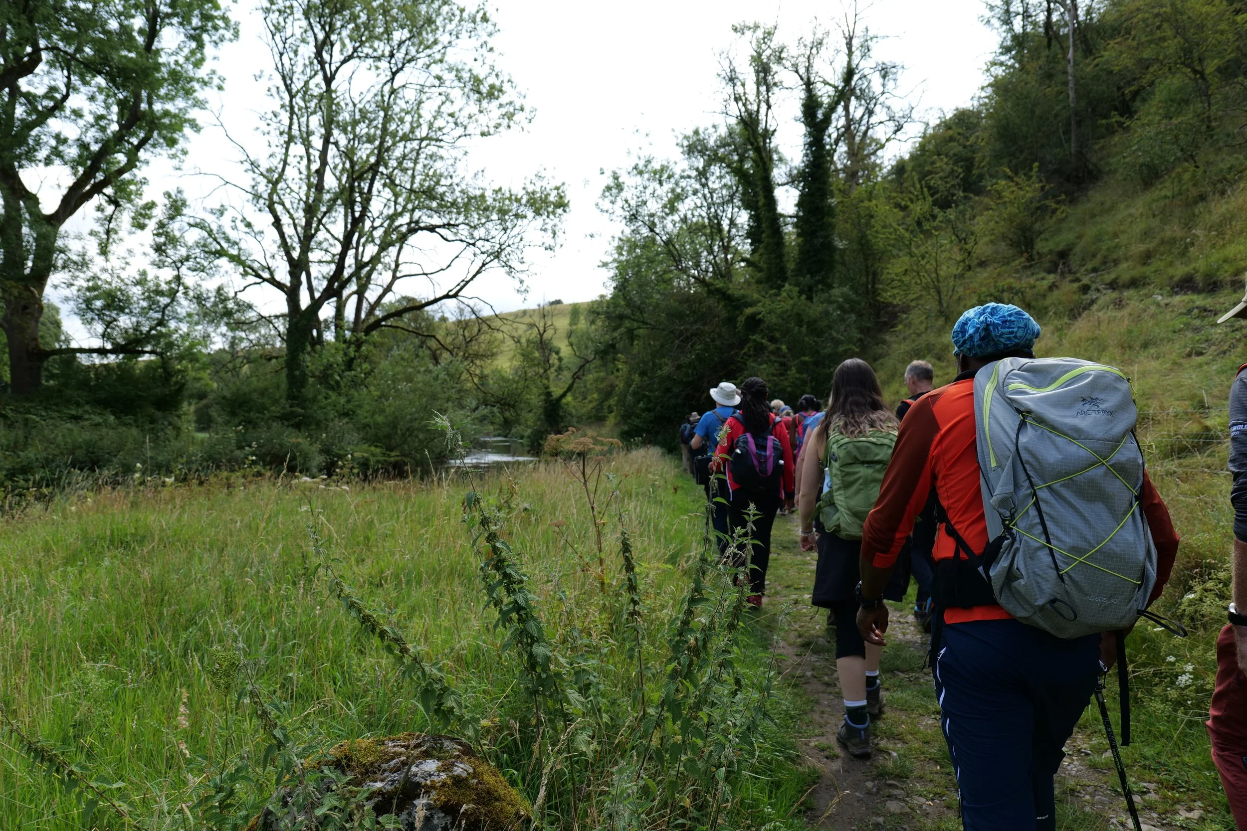A group of hikers walking in a line along a forest trail, surrounded by trees and greenery.