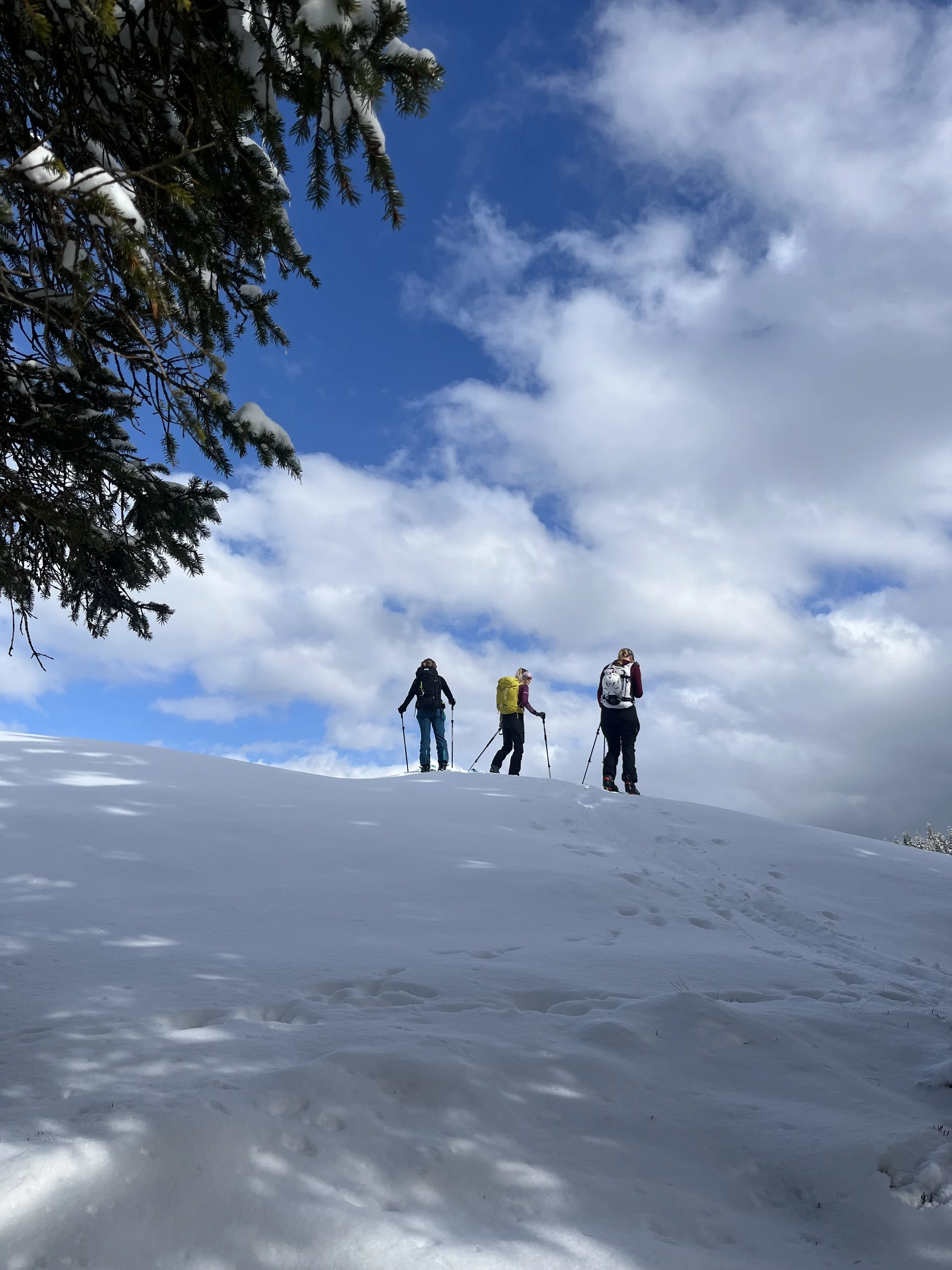 Three people in winter clothing with backpacks and hiking poles walking on snow-covered ground toward the horizon, with a partly cloudy sky above and a snow-covered tree branch on the left.