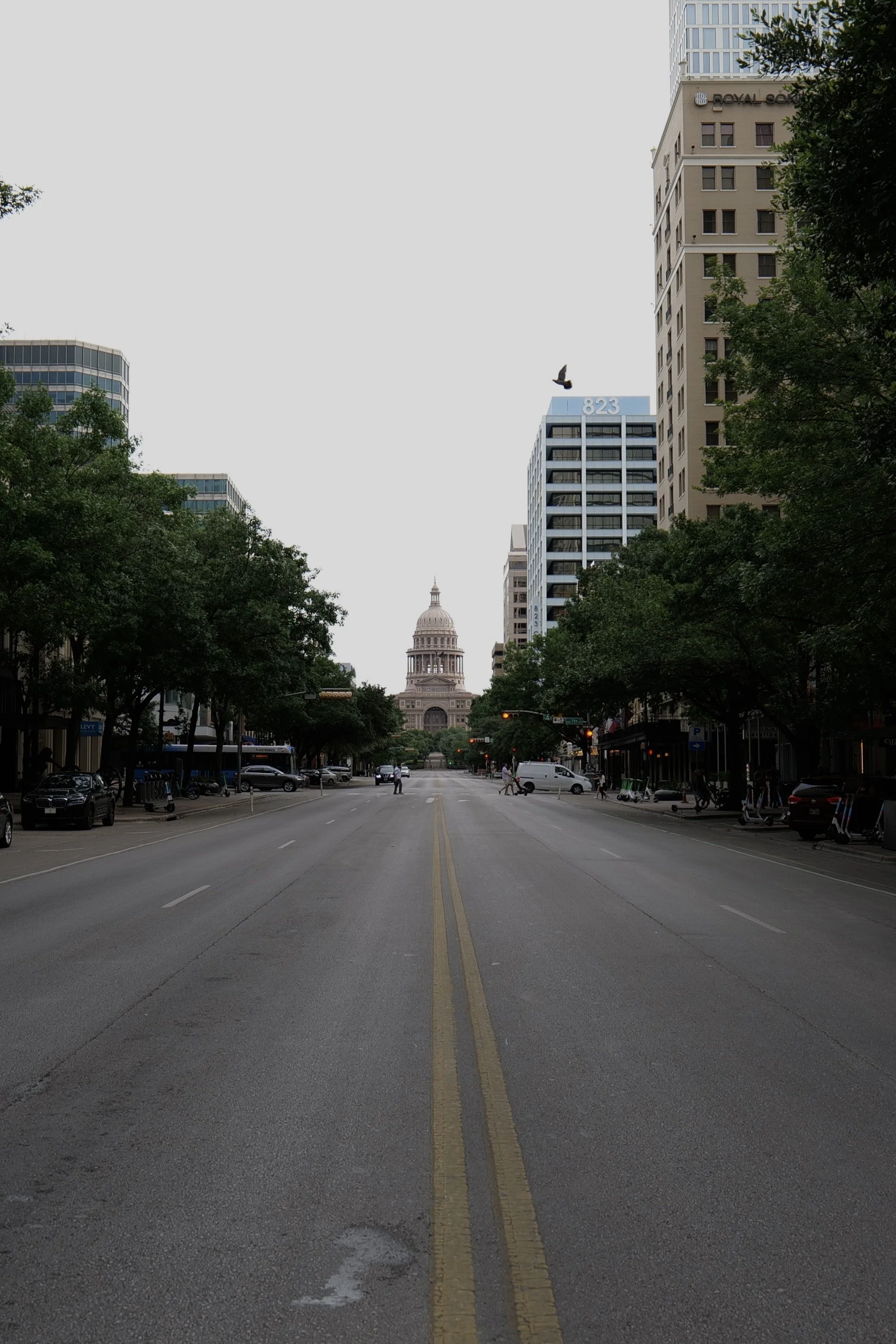 Empty city street with trees lining both sides, tall buildings, and the Texas State Capitol building visible in the distance. A bird is flying in the sky.