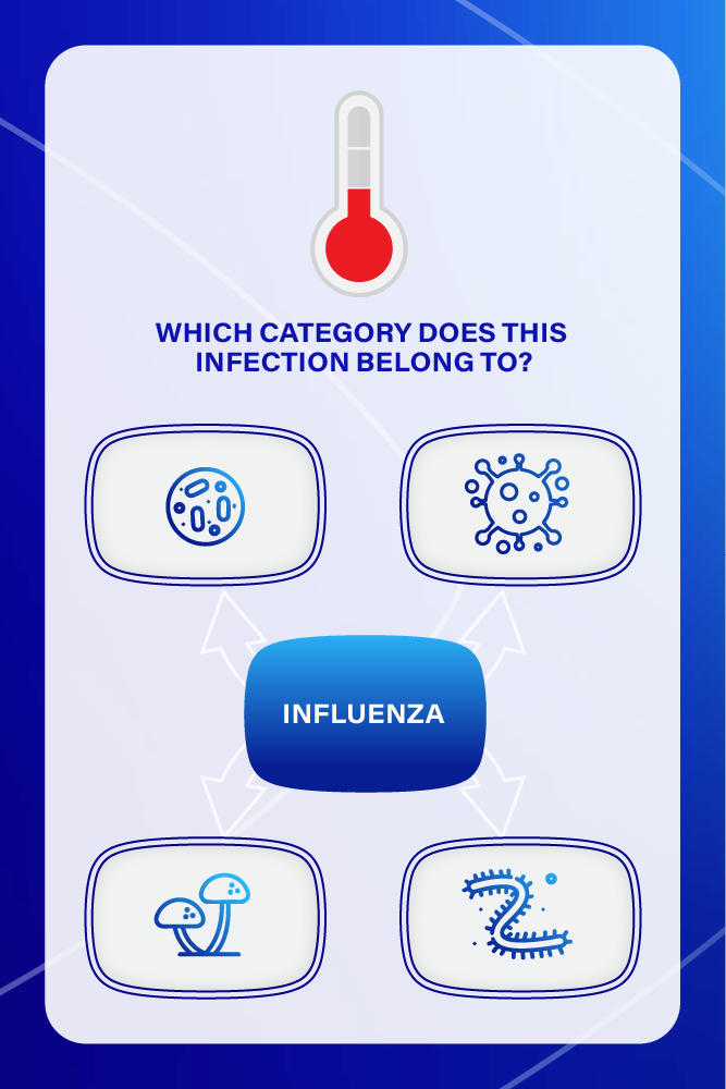 A digital quiz asking which category an infection belongs to, with options for bacteria, virus, fungi, and bacteria again, with an influenza label in the center.