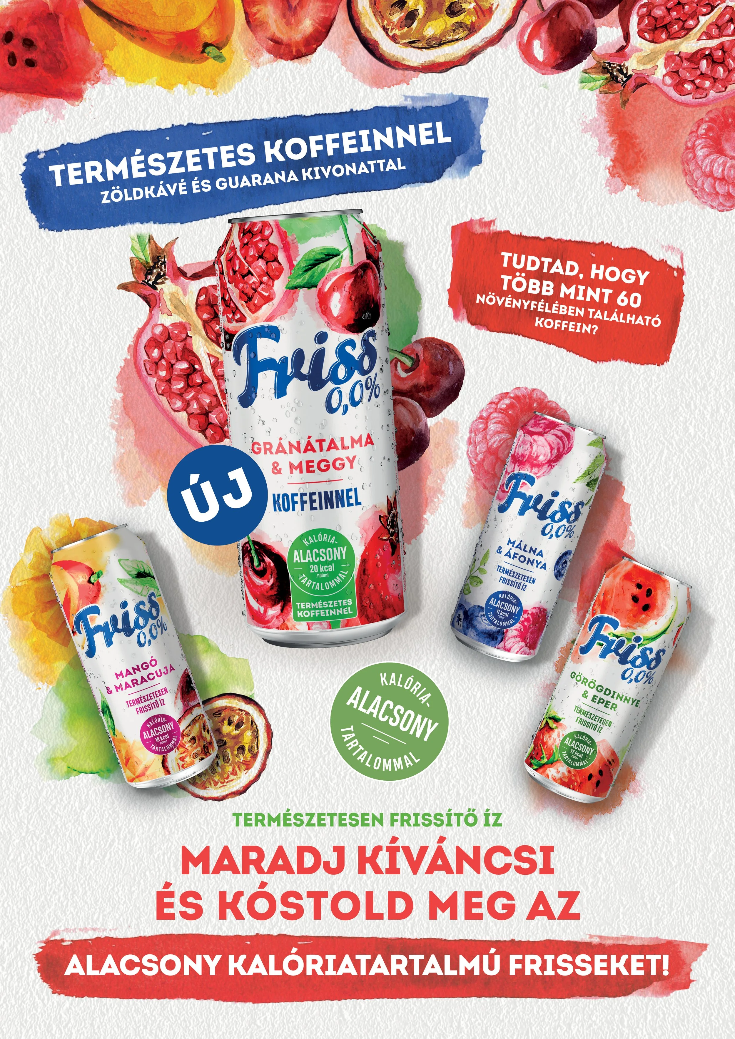 The image shows a colorful advertisement for fruit-flavored drinks made with natural caffeine and fruit juice. The design features watercolor illustrations of various fruits like pomegranate, raspberry, cherry, mango, and watermelon. Several cans of 