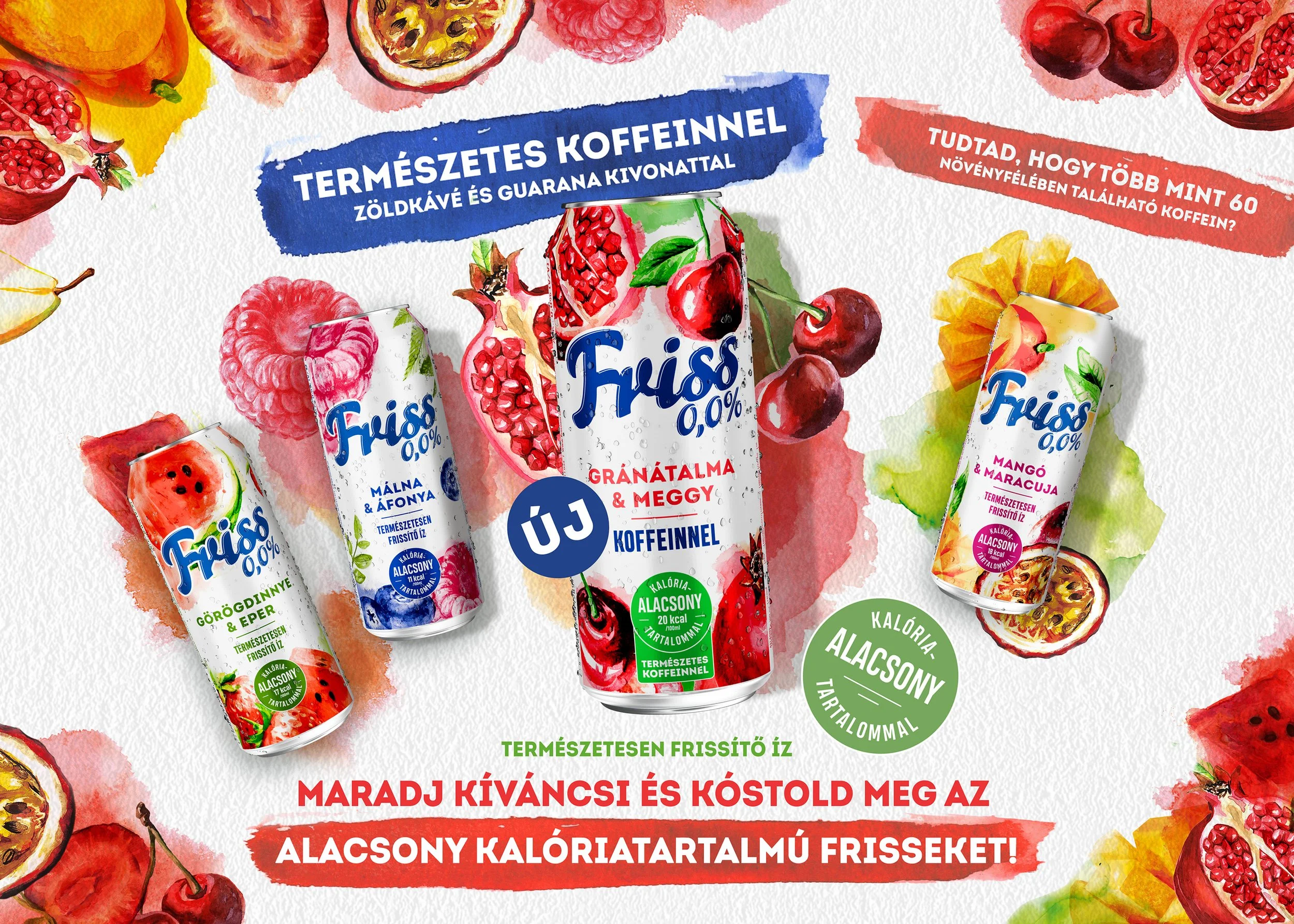 Watercolor illustration of various fruit-flavored sparkling drinks and fresh fruits like cherries, watermelon, passion fruit, and raspberry, with Hungarian text promoting low-calorie, natural, and refreshing beverages.