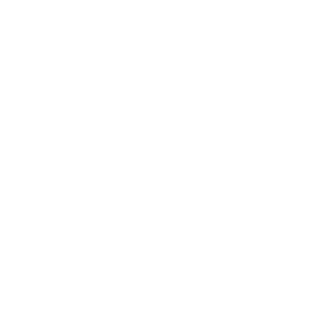 Logo noir et blanc « STS Groupe Sylvagreg »