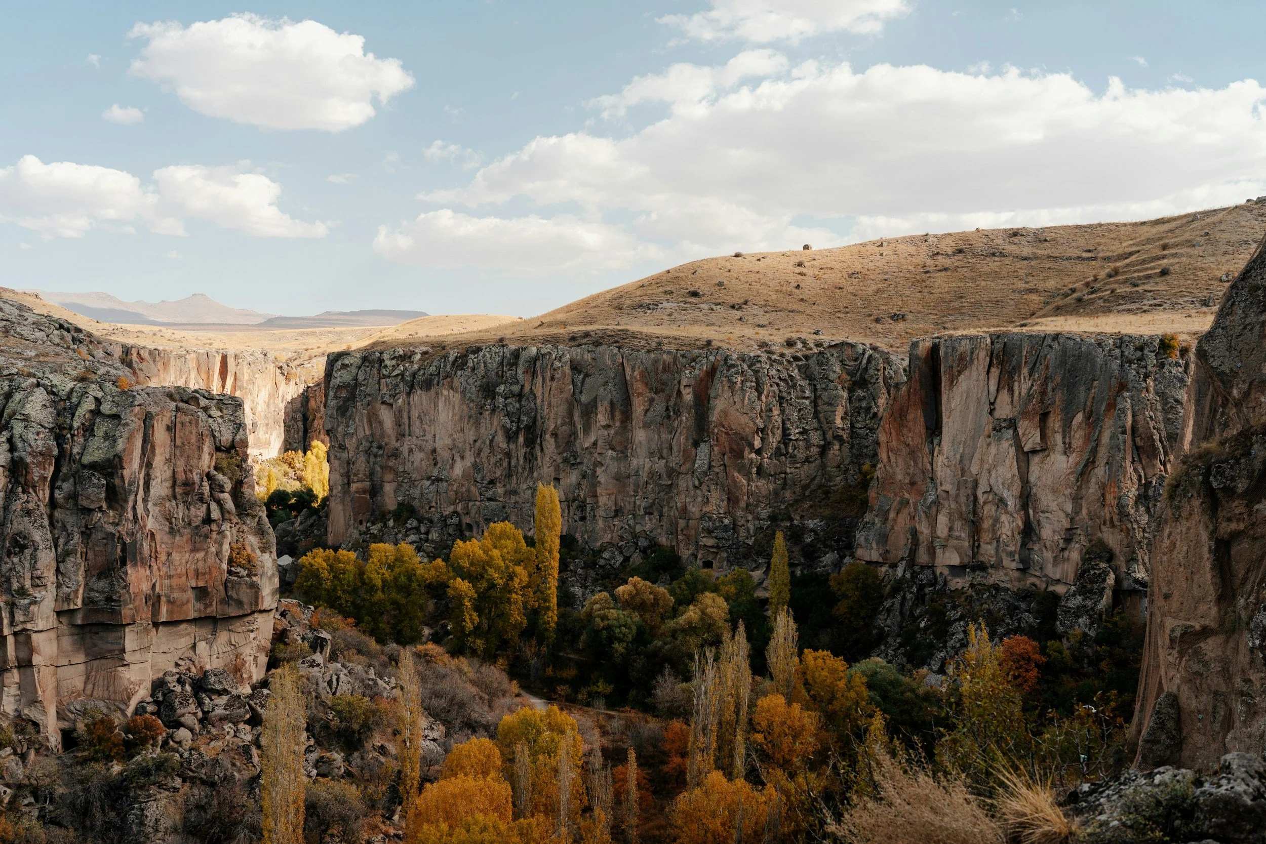 unsplash-image-QwlQPn5P6oU.jpg
