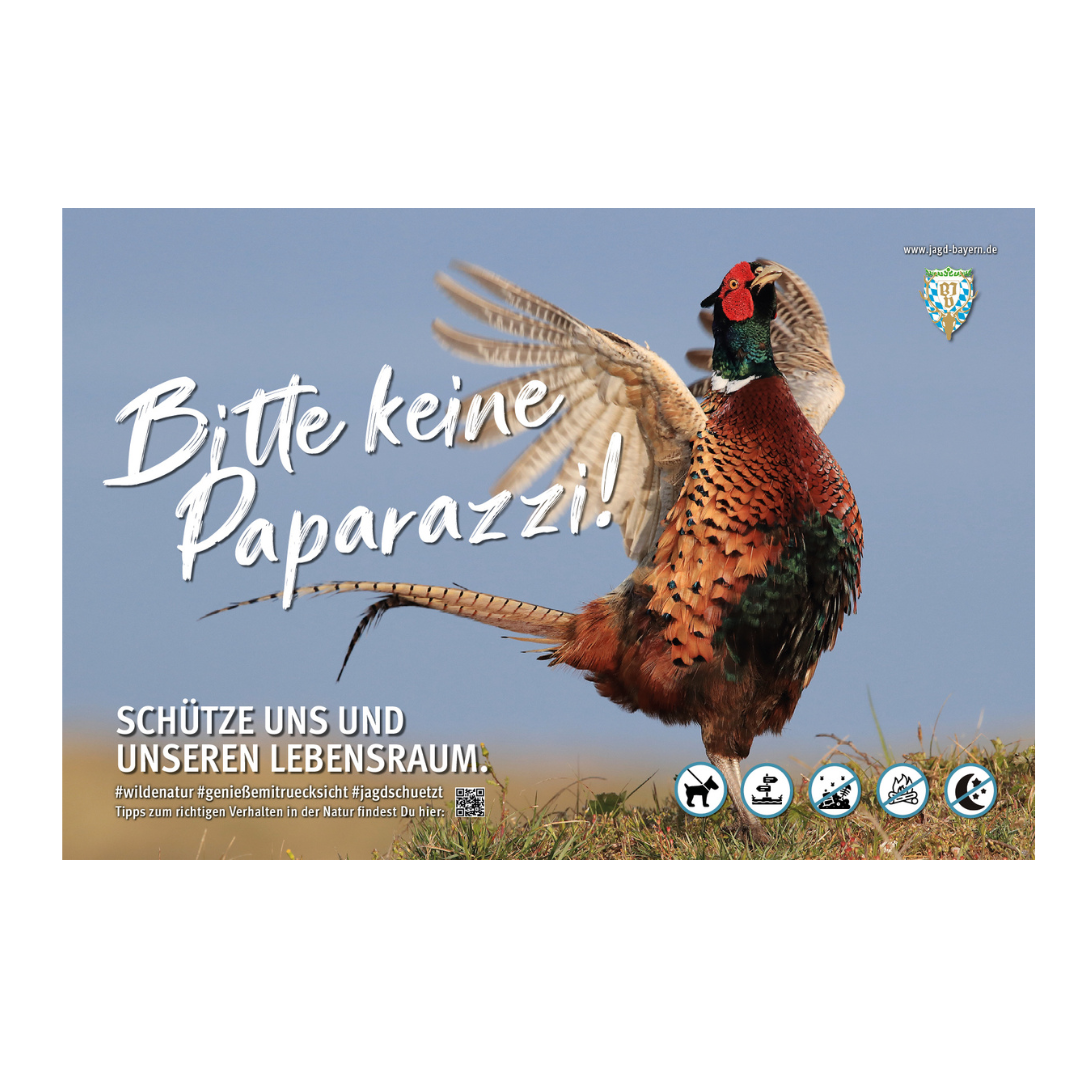44759-Schild-Besucherlenkung-Fasan.png
