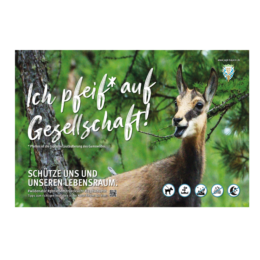 44767-Schild-Besucherlenkung-Gams.png