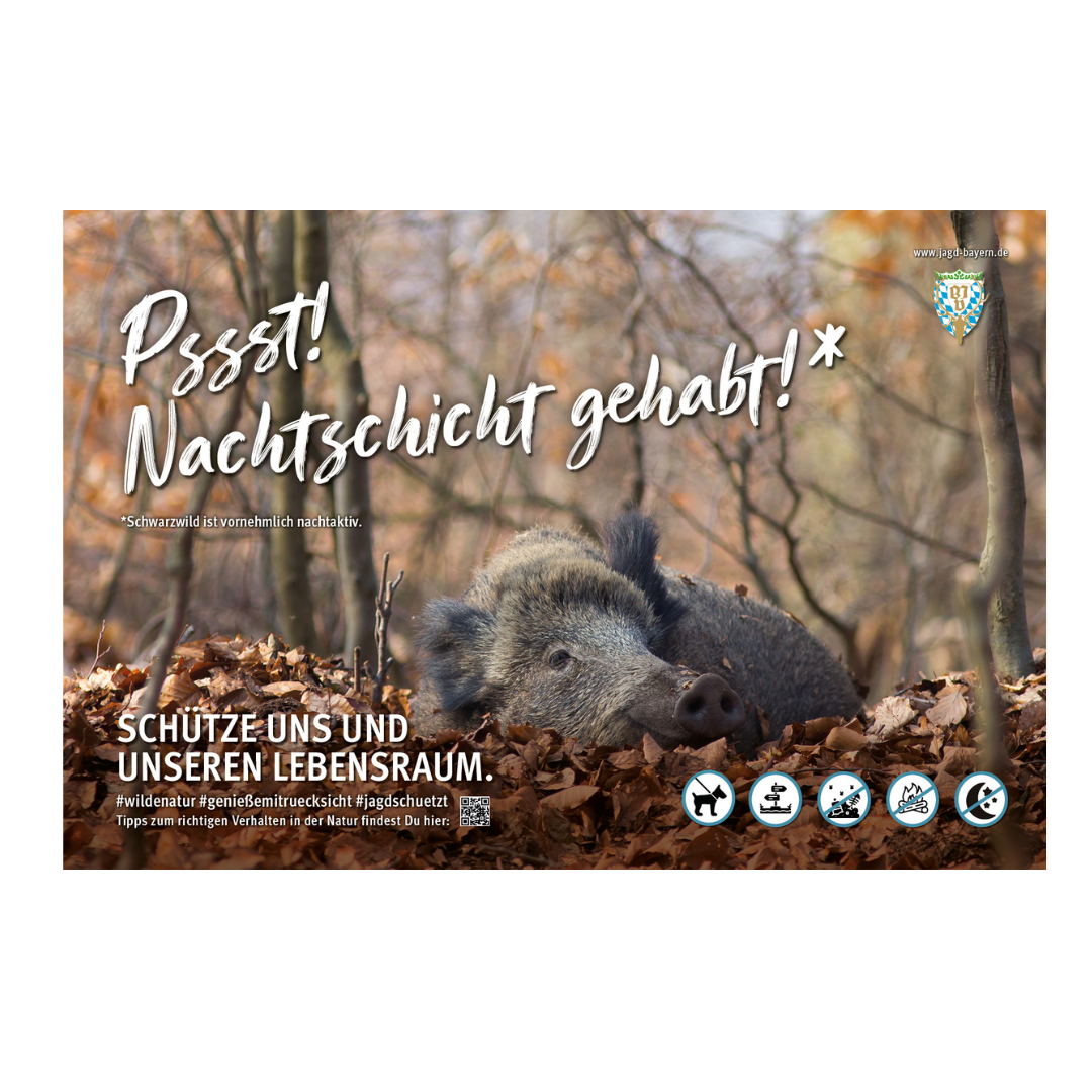 44766-Schild-Besucherlenkung-Sau.png