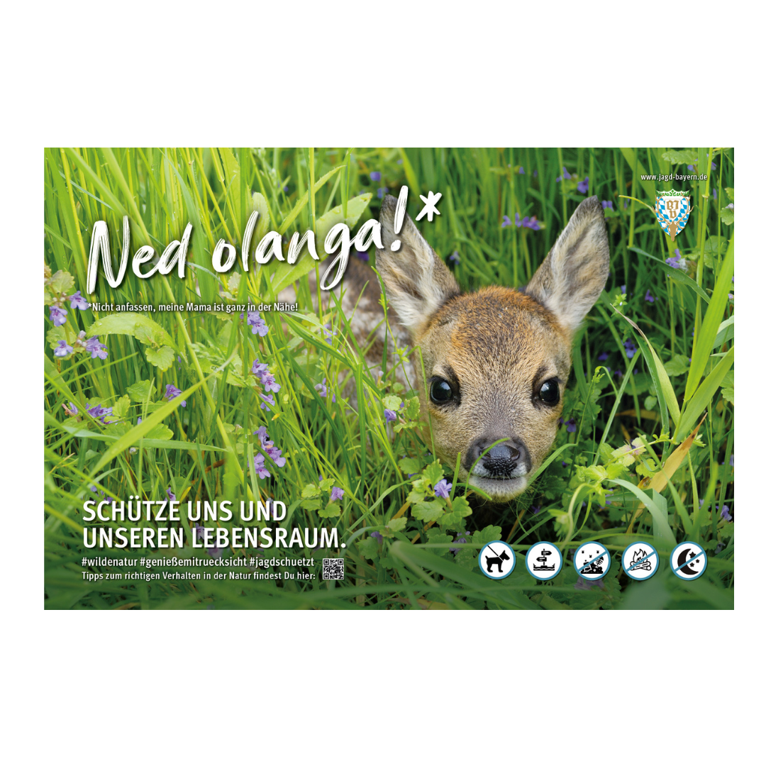 44765-Schild-Besucherlenkung-Rehkitz.png