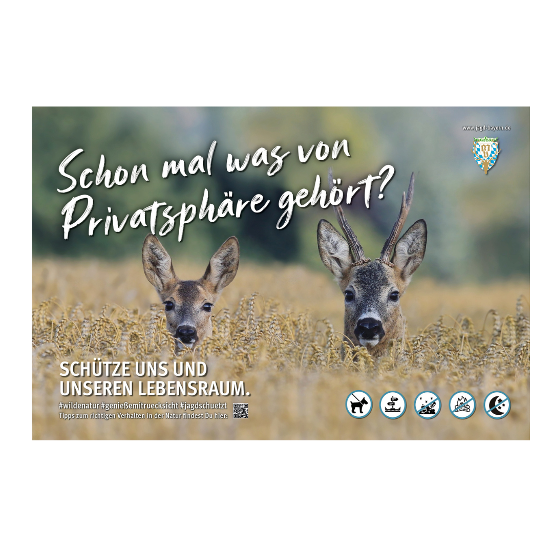 44764-Schild-Besucherlenkung-Rehe.png