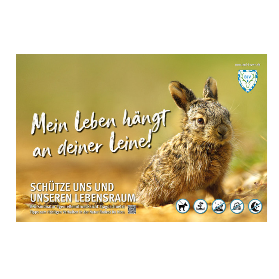 44773-Schild-Besucherlenkung-Hase-Leine.png