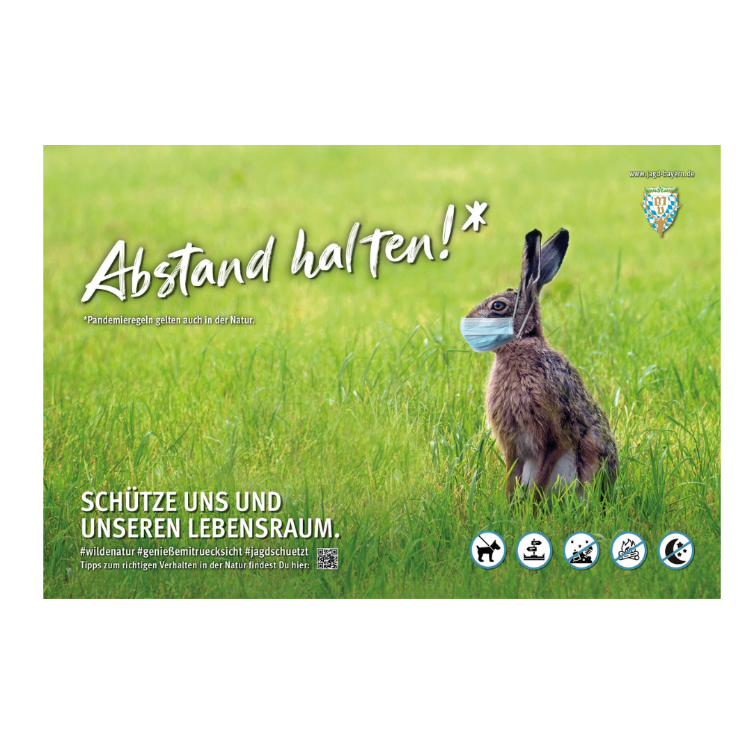 44762-Schild-Besucherlenkung-Hase.png
