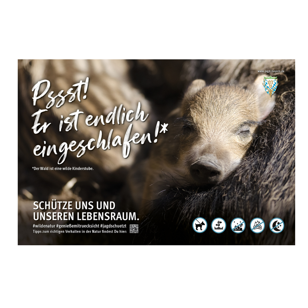 44761-Schild-Besucherlenkung-Frischling-schlafend.png