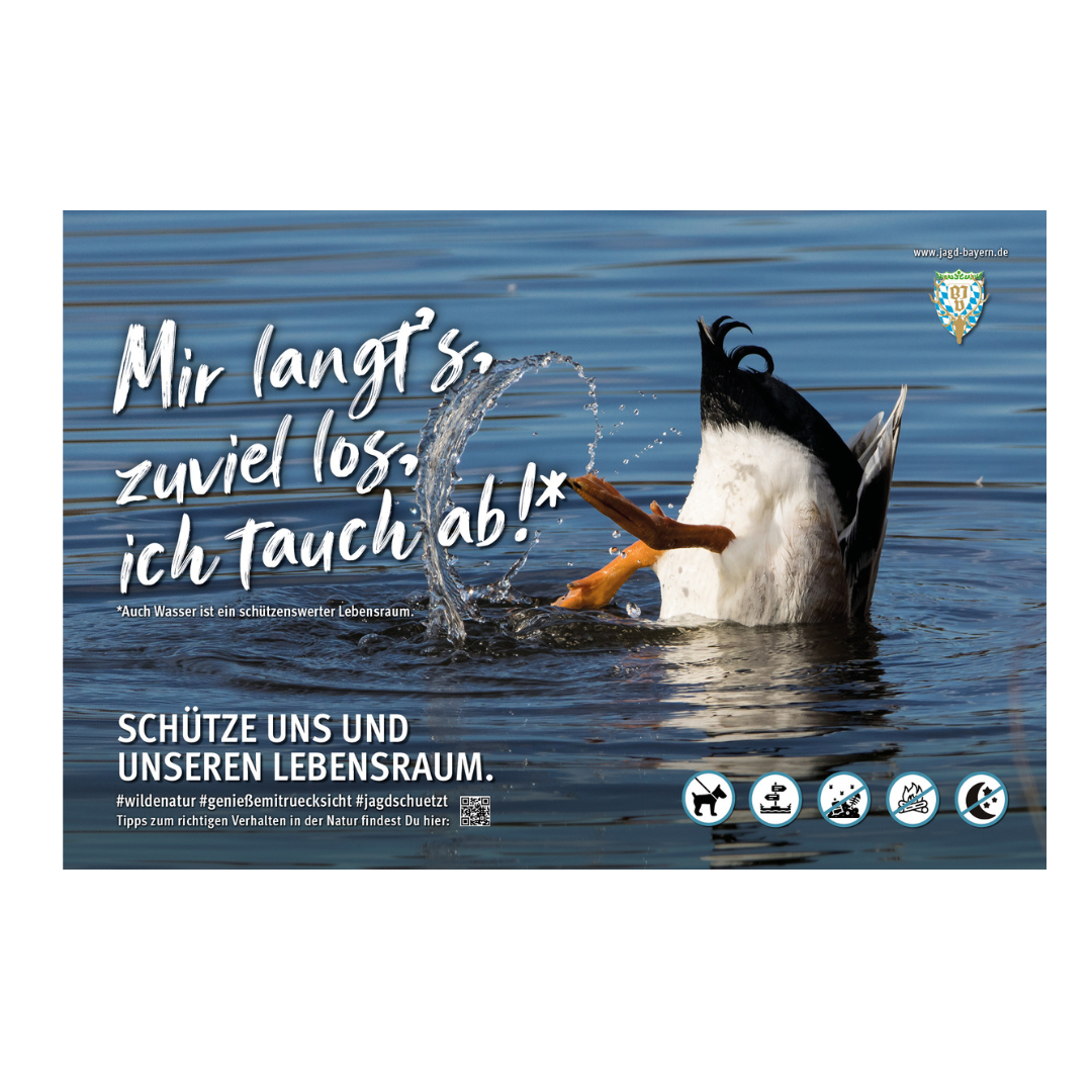 44758-Schild-Besucherlenkung-Ente.png