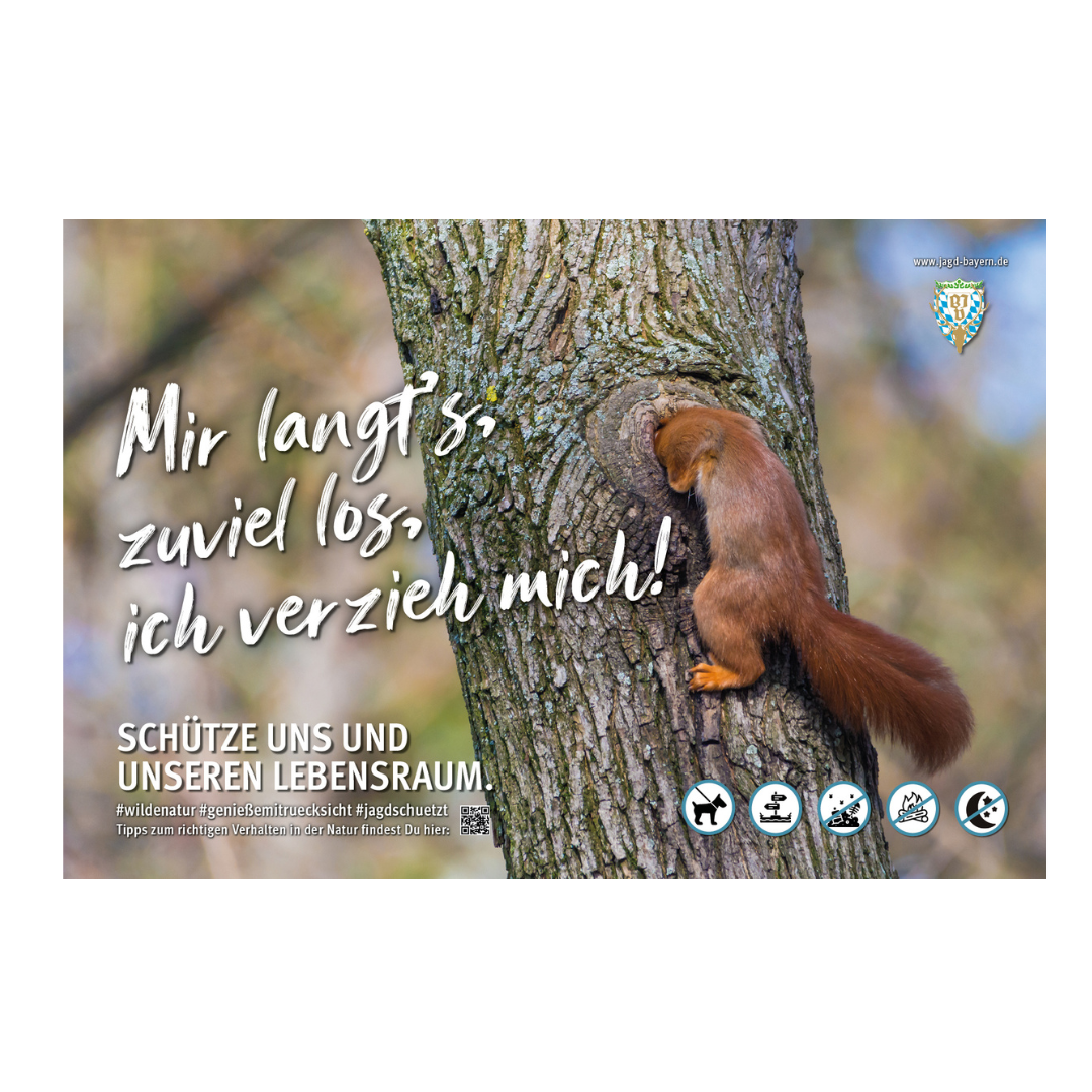 44757-Schild-Besucherlenkung-Eichhoernchen.png