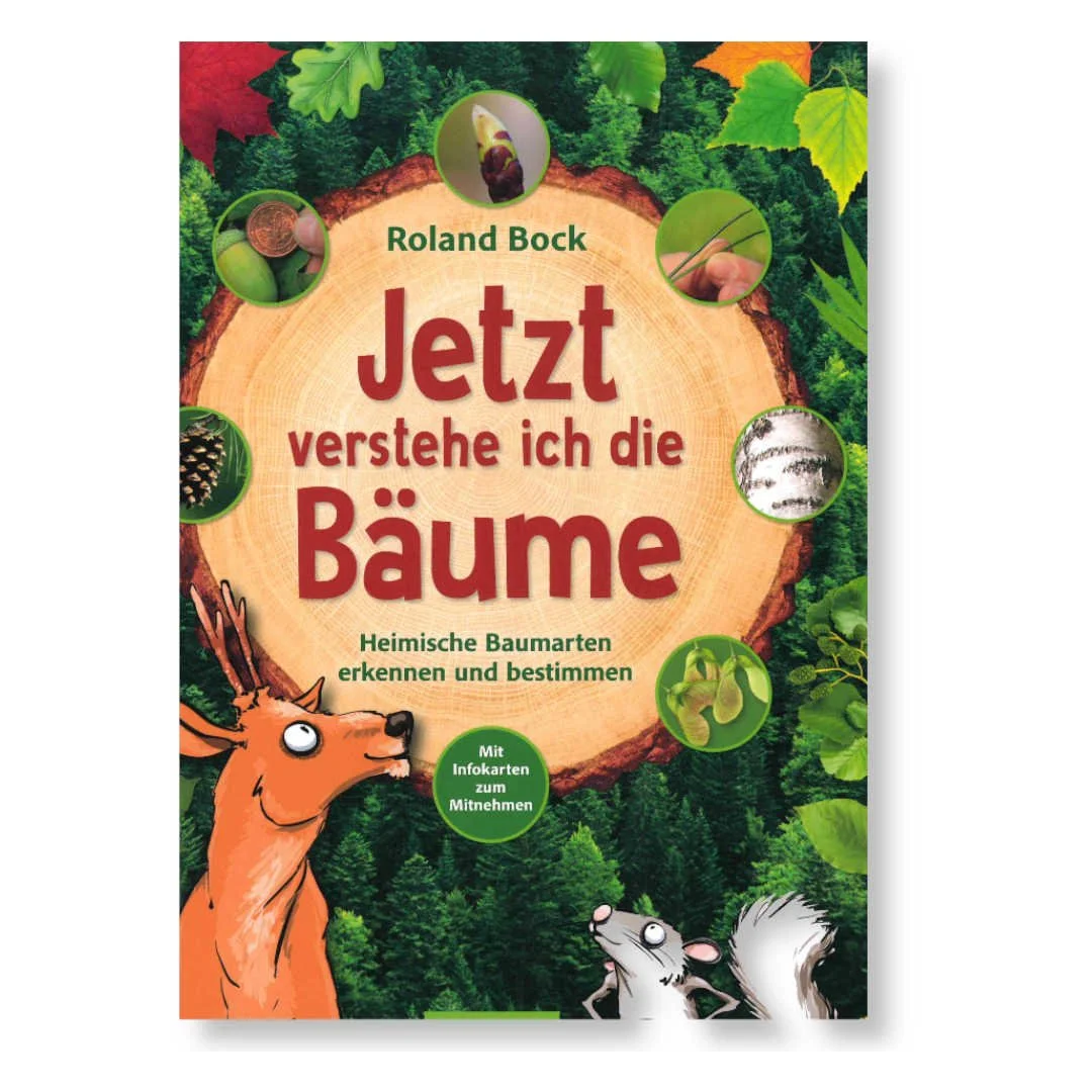 44795-Buch-Jetzt-verstehe-ich-die-Baeume.jpg