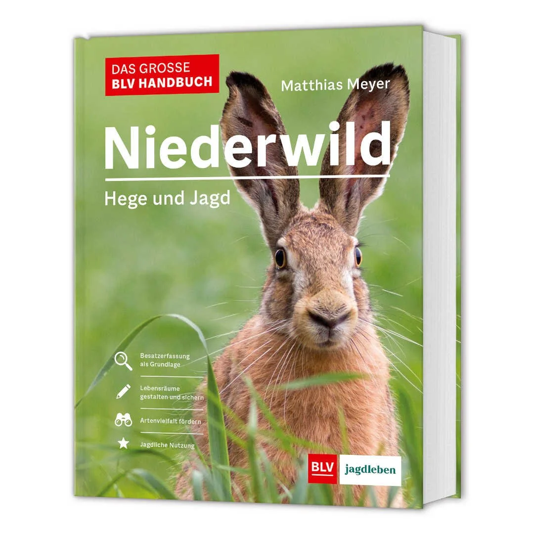 Das große BLV Handbuch Niederwild