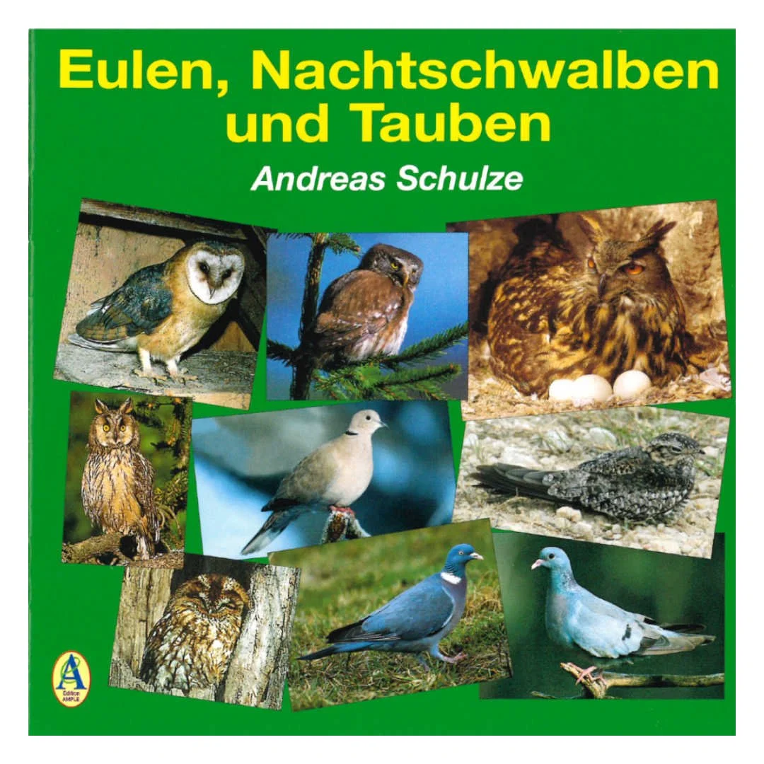 CD "Eulen, Nachtschwalben und Tauben" von Andreas Schulze