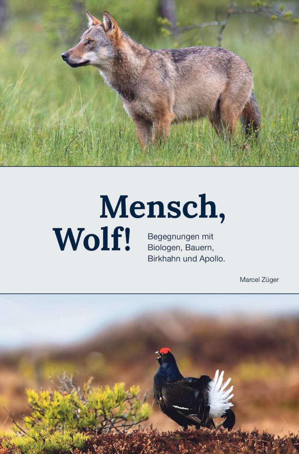 Mensch, Wolf!