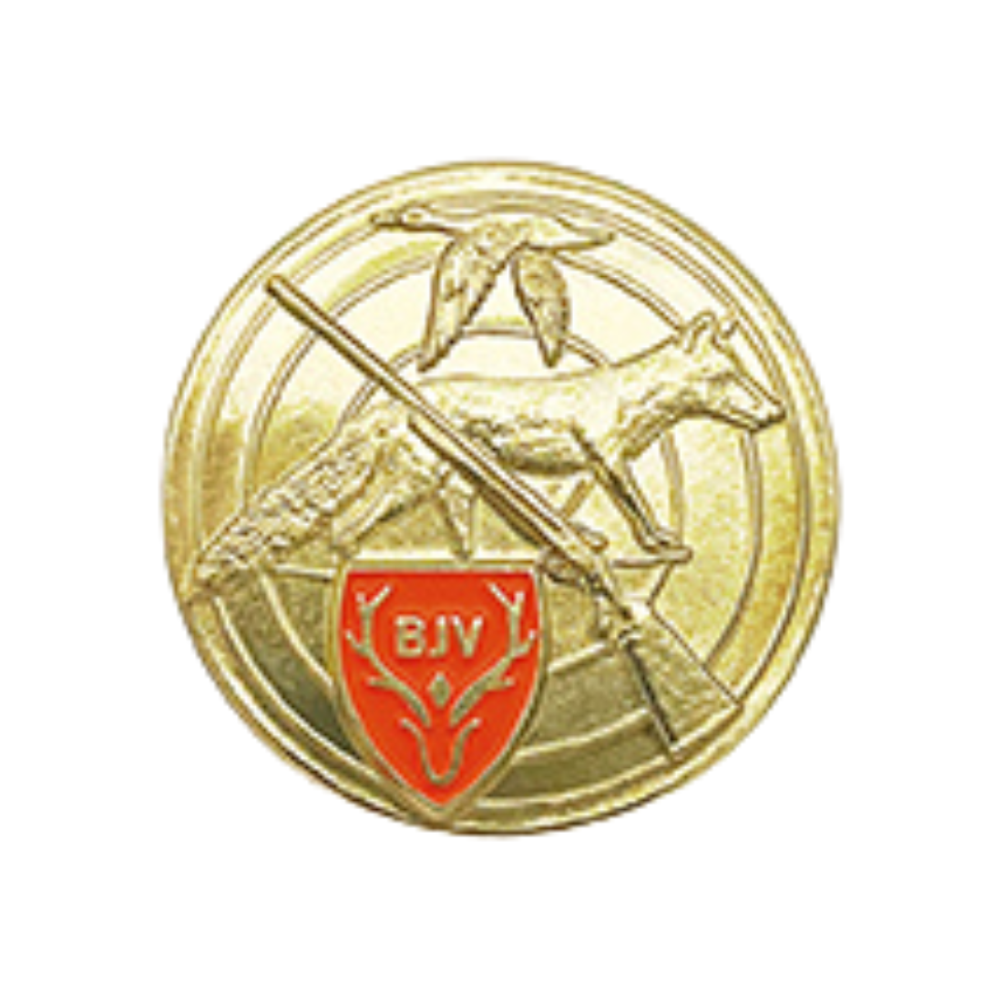 44685-Flintennadel-gold.png