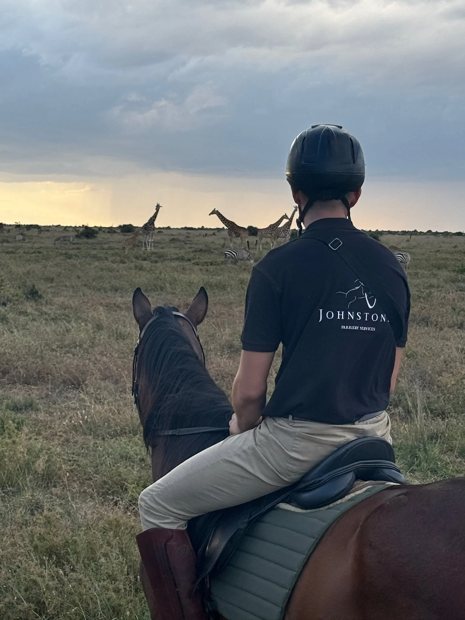 A person in riding gear with a helmet riding a horse in a grassland, observing giraffes and zebras under a cloudy sky.