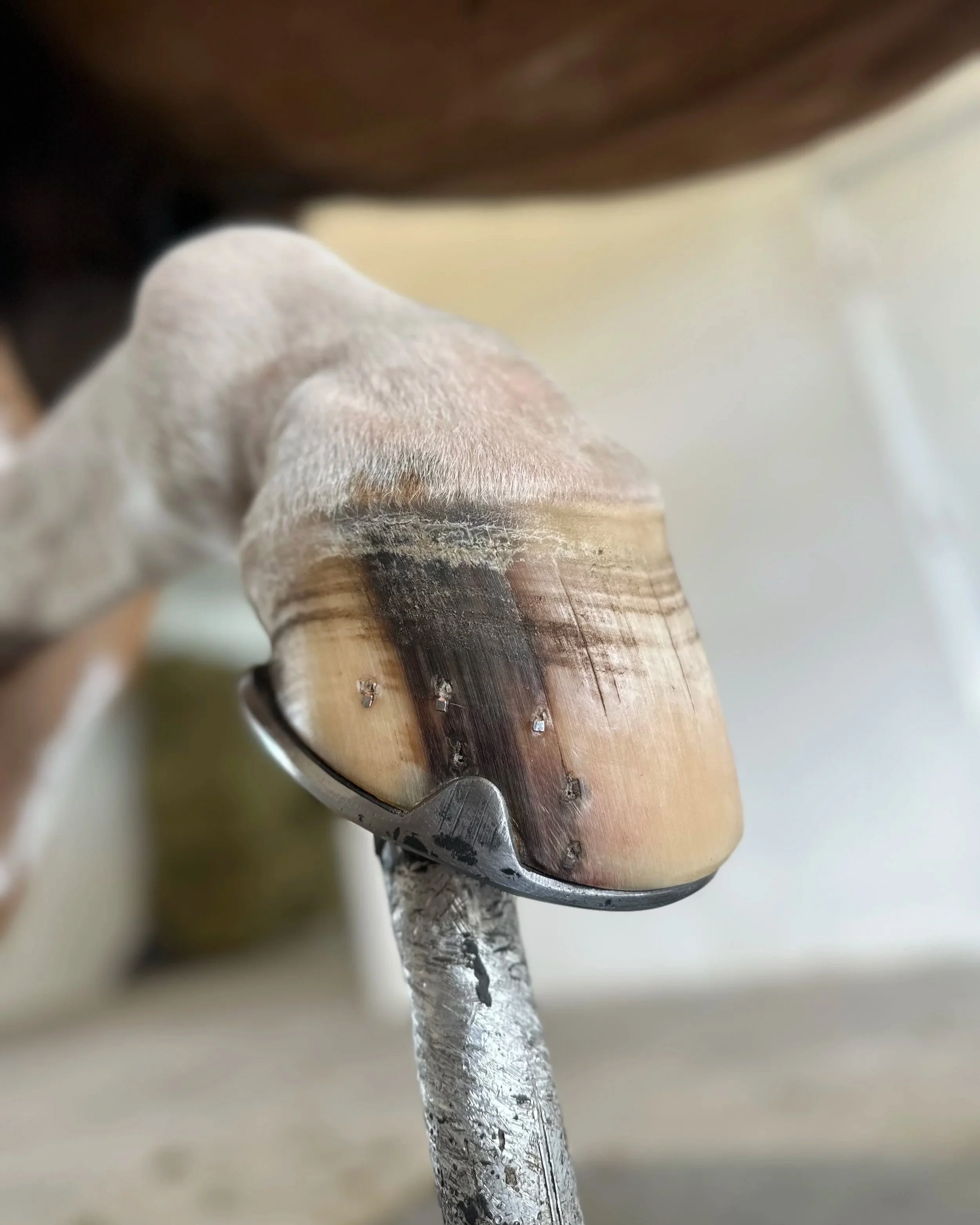 Close-up of a metal faucet with water flowing out, with a blurred background.