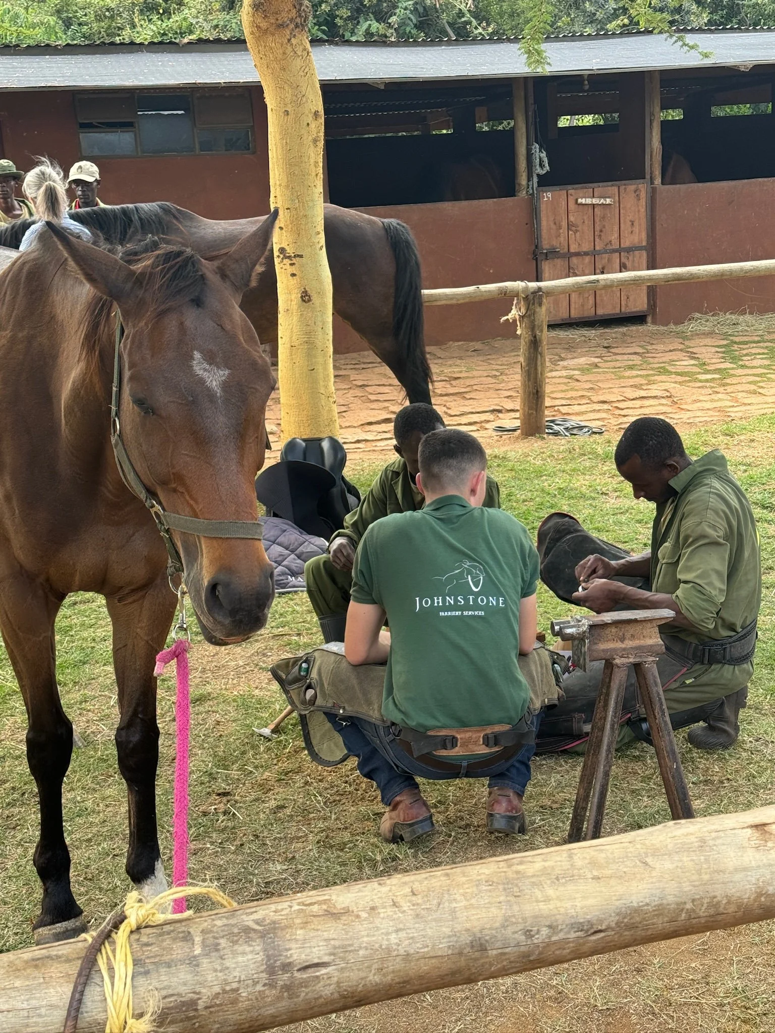 Ross Johnstone teaching students in Africa how to shoe horses