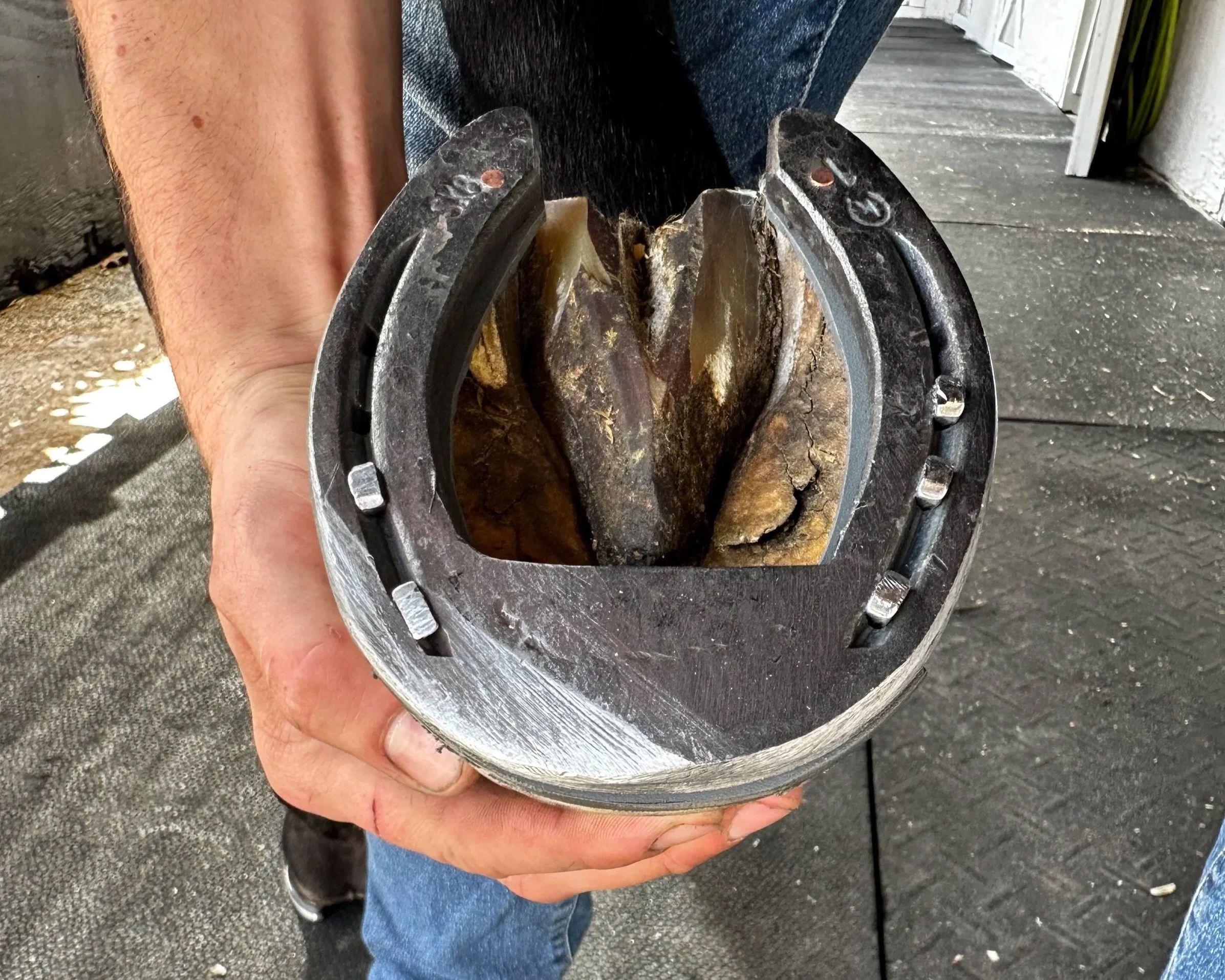 A person holding a worn-out, damaged motorcycle clutch with visible cracks and wear.