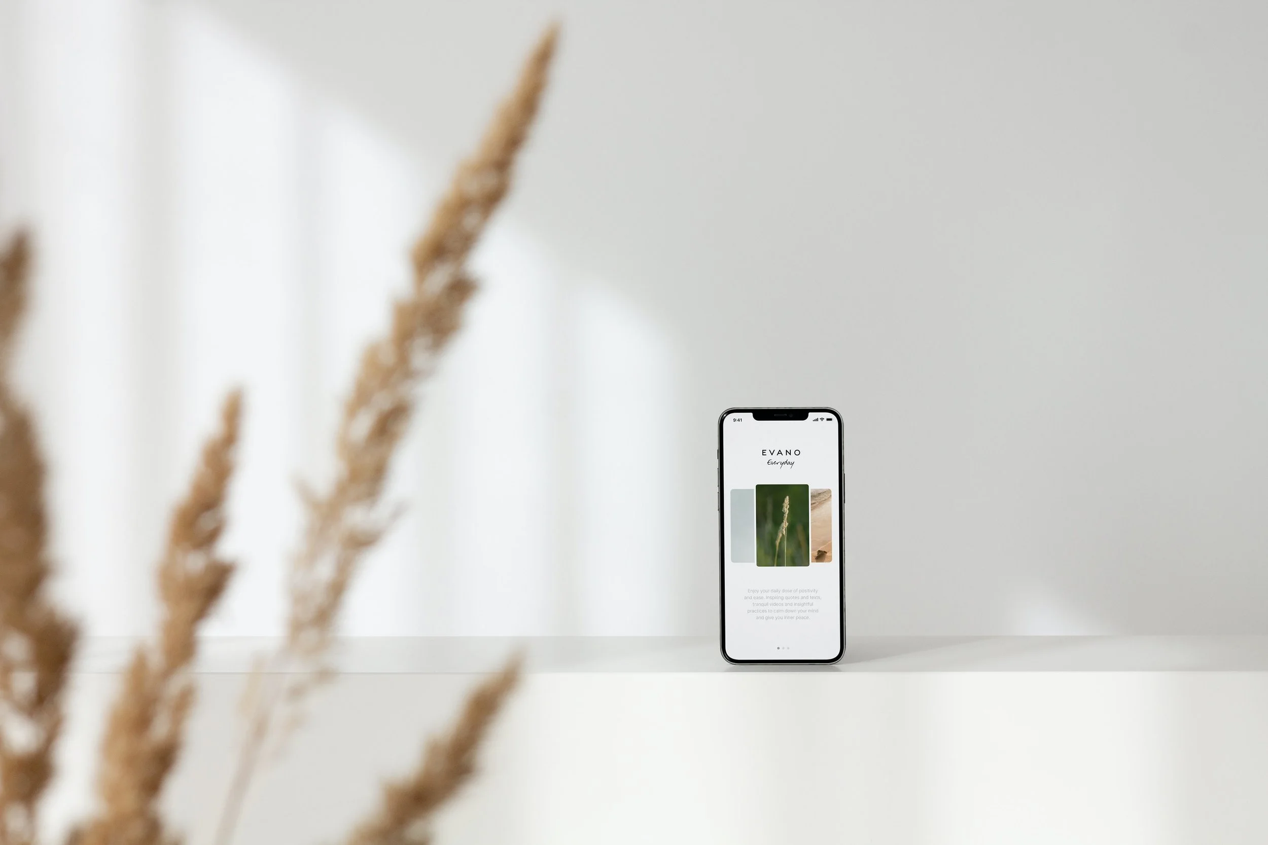 A smartphone displaying an app called EVANO Everyday, with images of nature including a plant and a landscape.