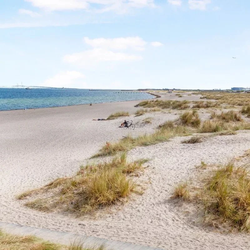 A sandy beach with patches of grass and a bicycle lying on the sand. The ocean is visible on the left, with a bridge in the distance and a partly cloudy sky overhead.