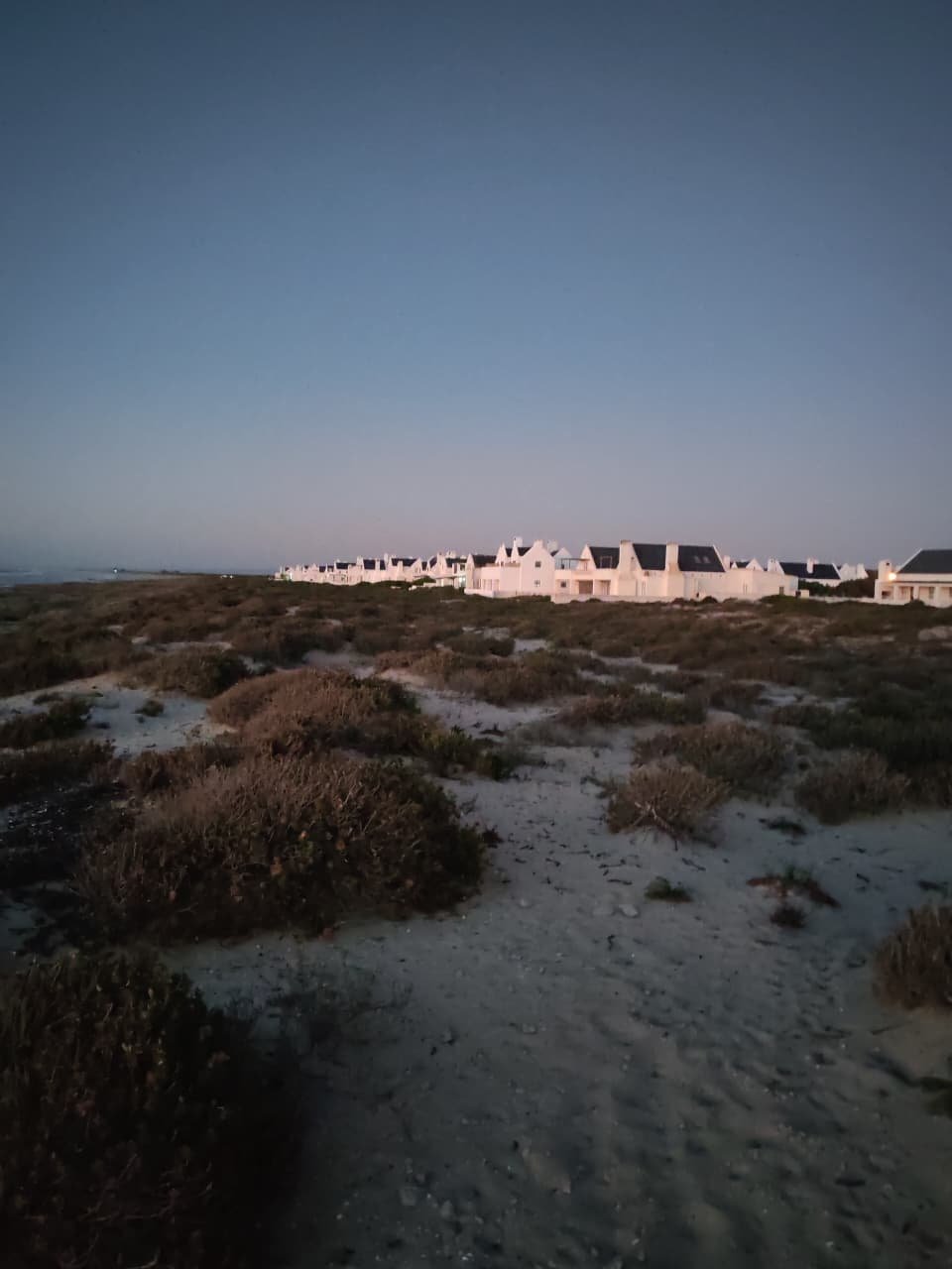 Beach with sandy ground and low shrubs leading to a row of modern white houses with black roofs under a clear blue sky.