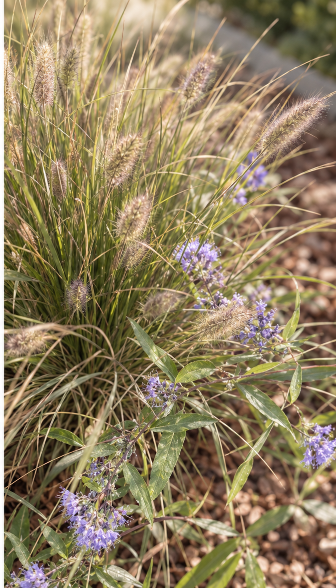 Comprendre le terrain, choisir les bonnes plantes