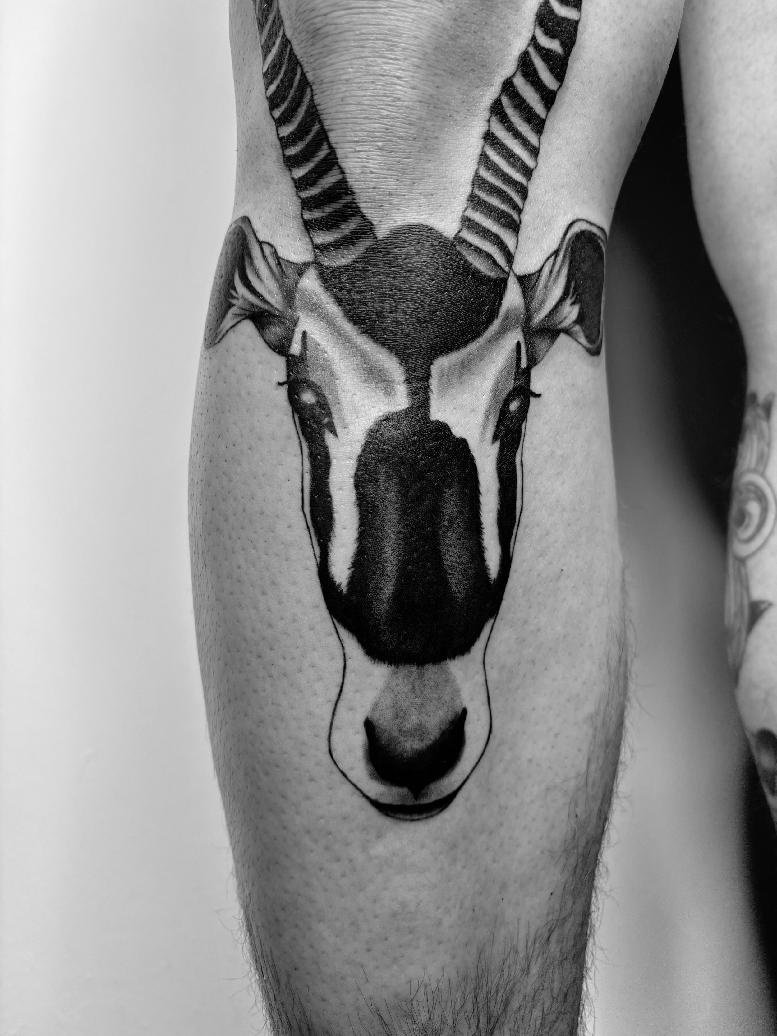 Schwarz-weiß-Tattoo eines Hirschkopfes auf dem Oberschenkel.