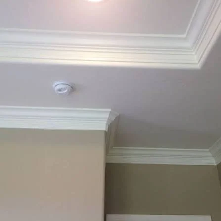 Trim, Casework, & Other Moldings