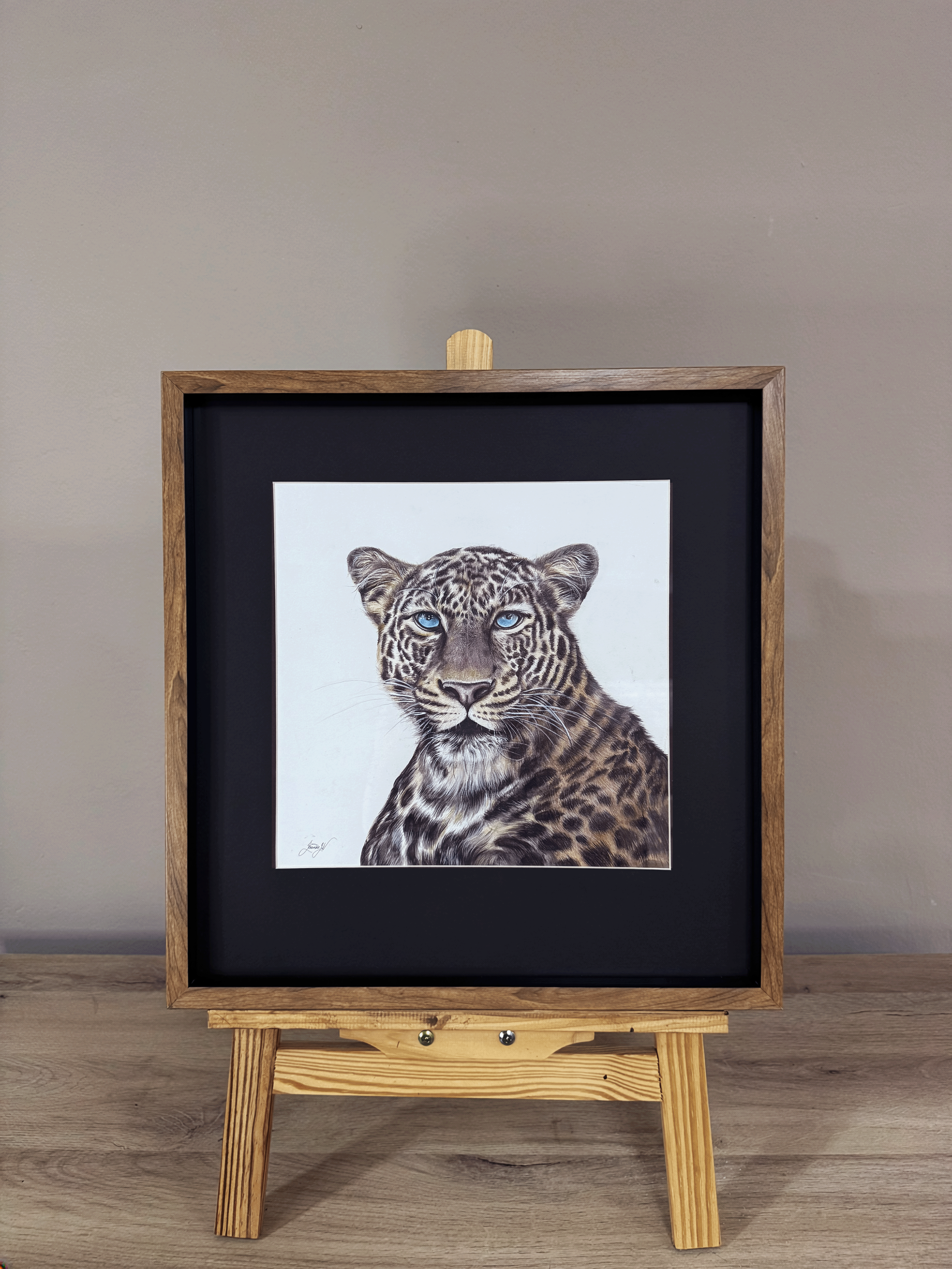 Gazing Leopard