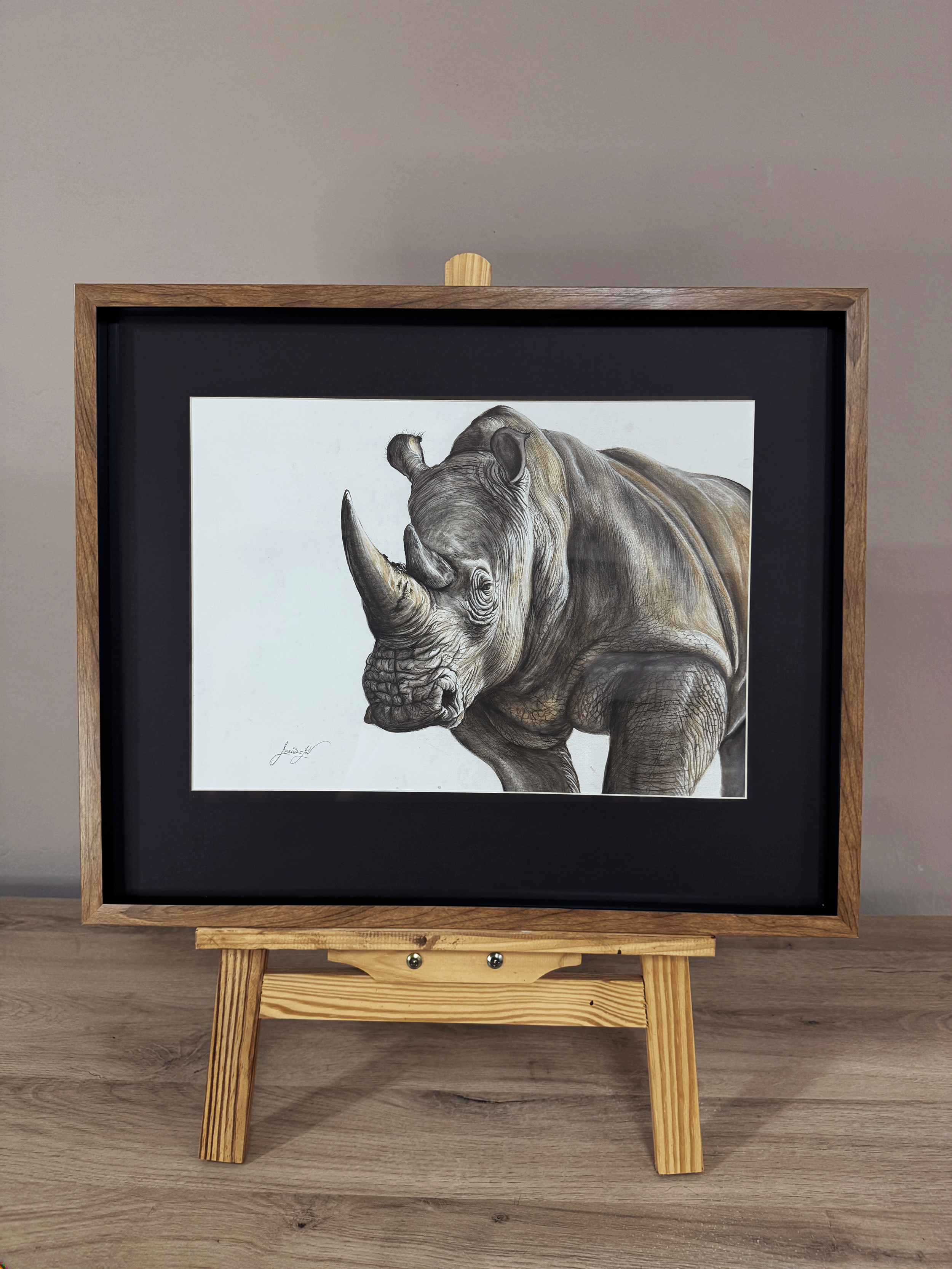Rhinoceros