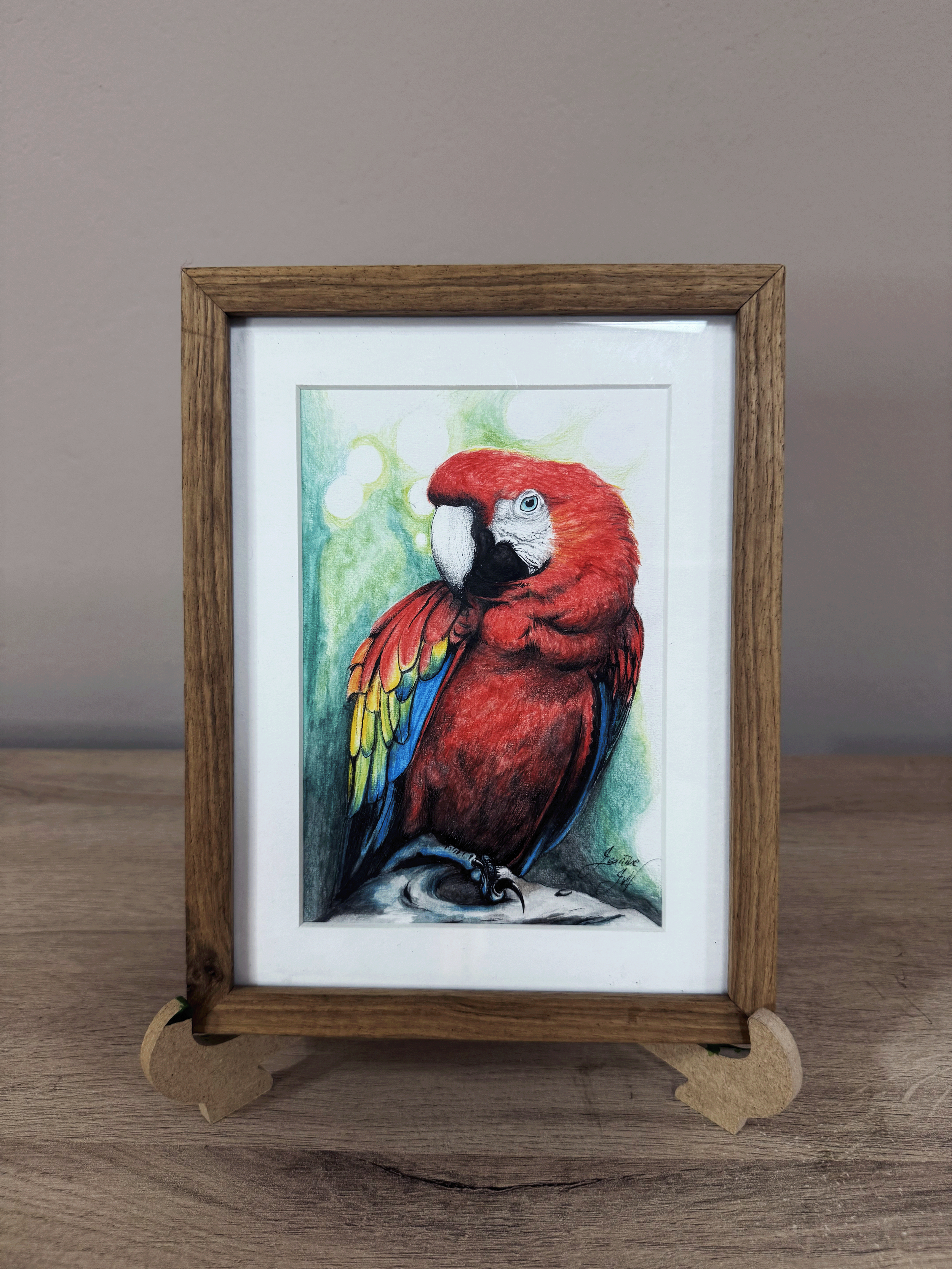 Scarlet Macaw