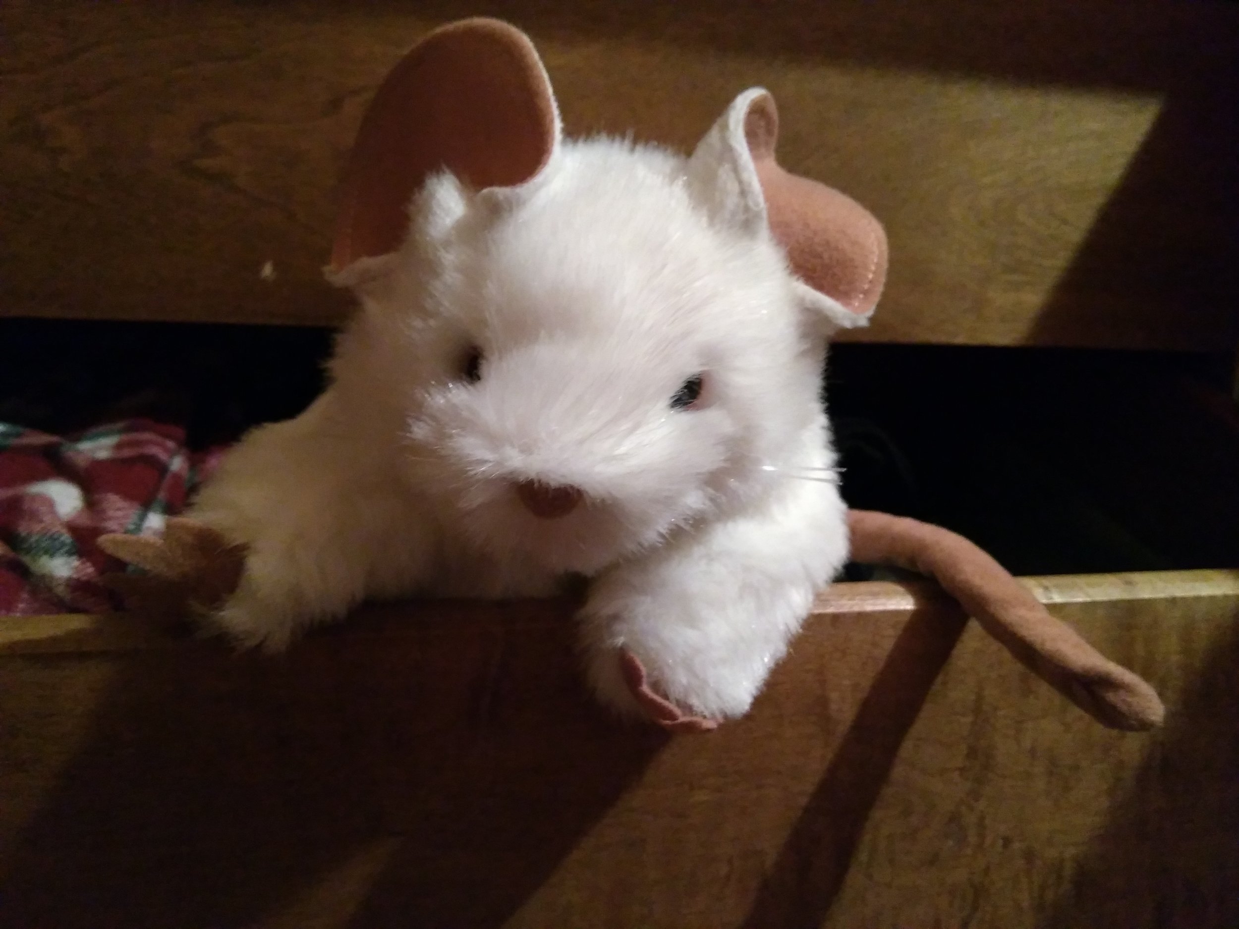 Ratcomptine, Heures du conte, 2018