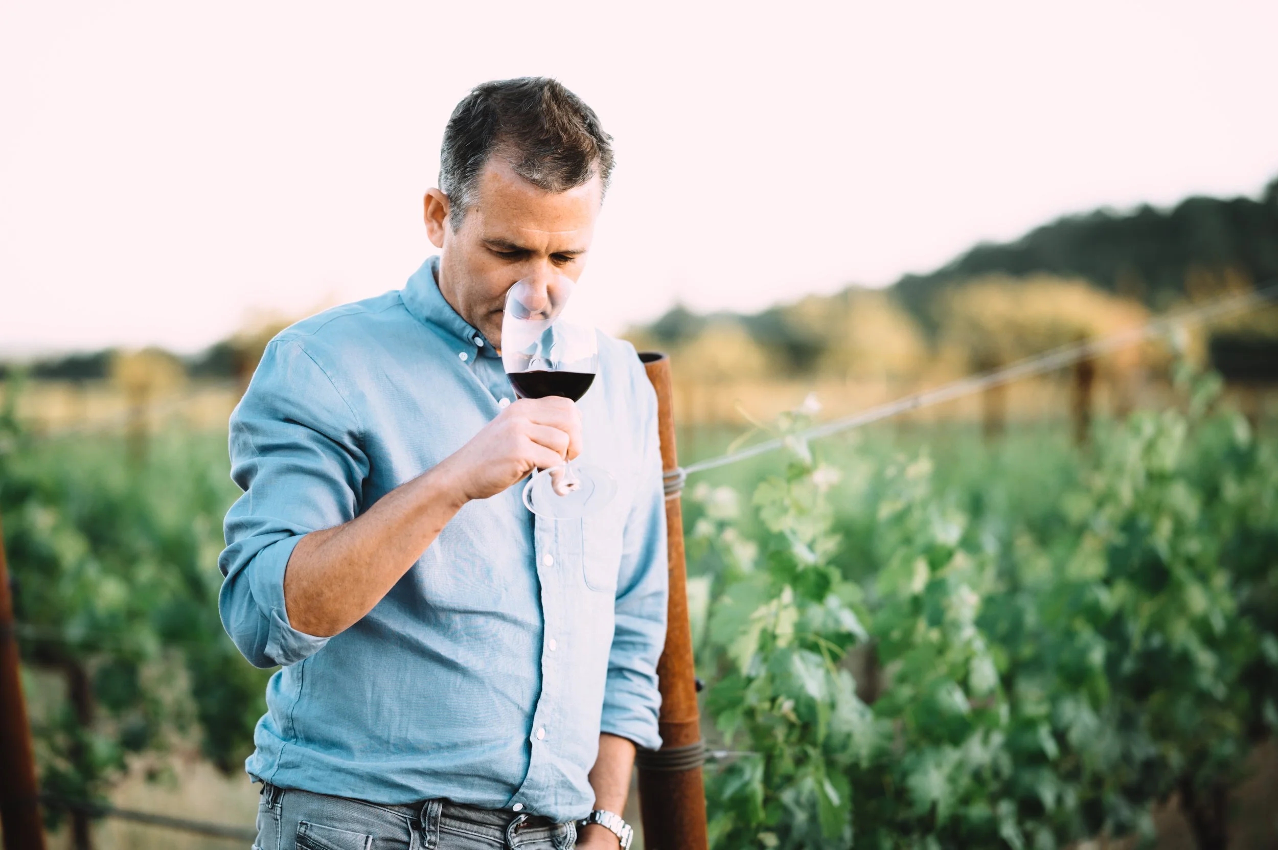 Matt Bonanno holding a glass of red wine outdoors in a vineyard