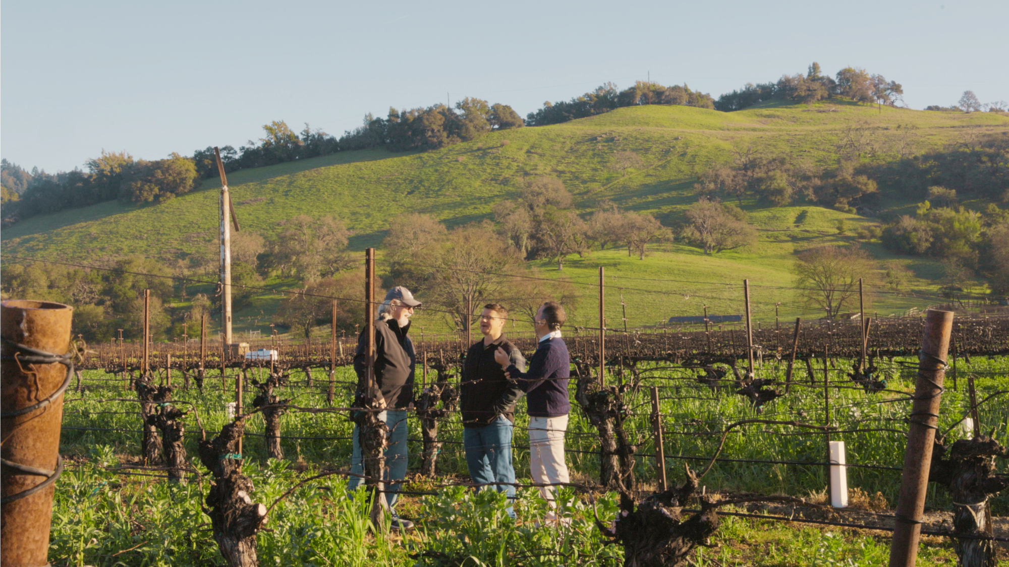 Matt Bonanno and his winemaking team talking in a vineyard with rolling green hills and trees in the background.