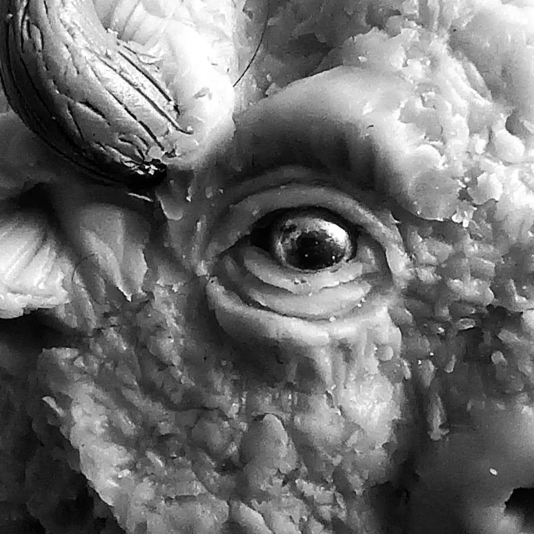 "Buffalo, Run"  polymer clay, 2023