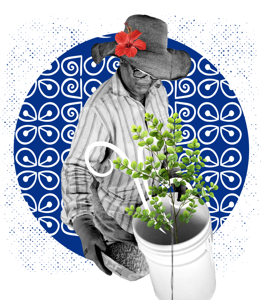 A person wearing a large brim hat decorated with a red flower, glasses, and a striped shirt, watering a bushy plant in a bucket, with a patterned blue background.